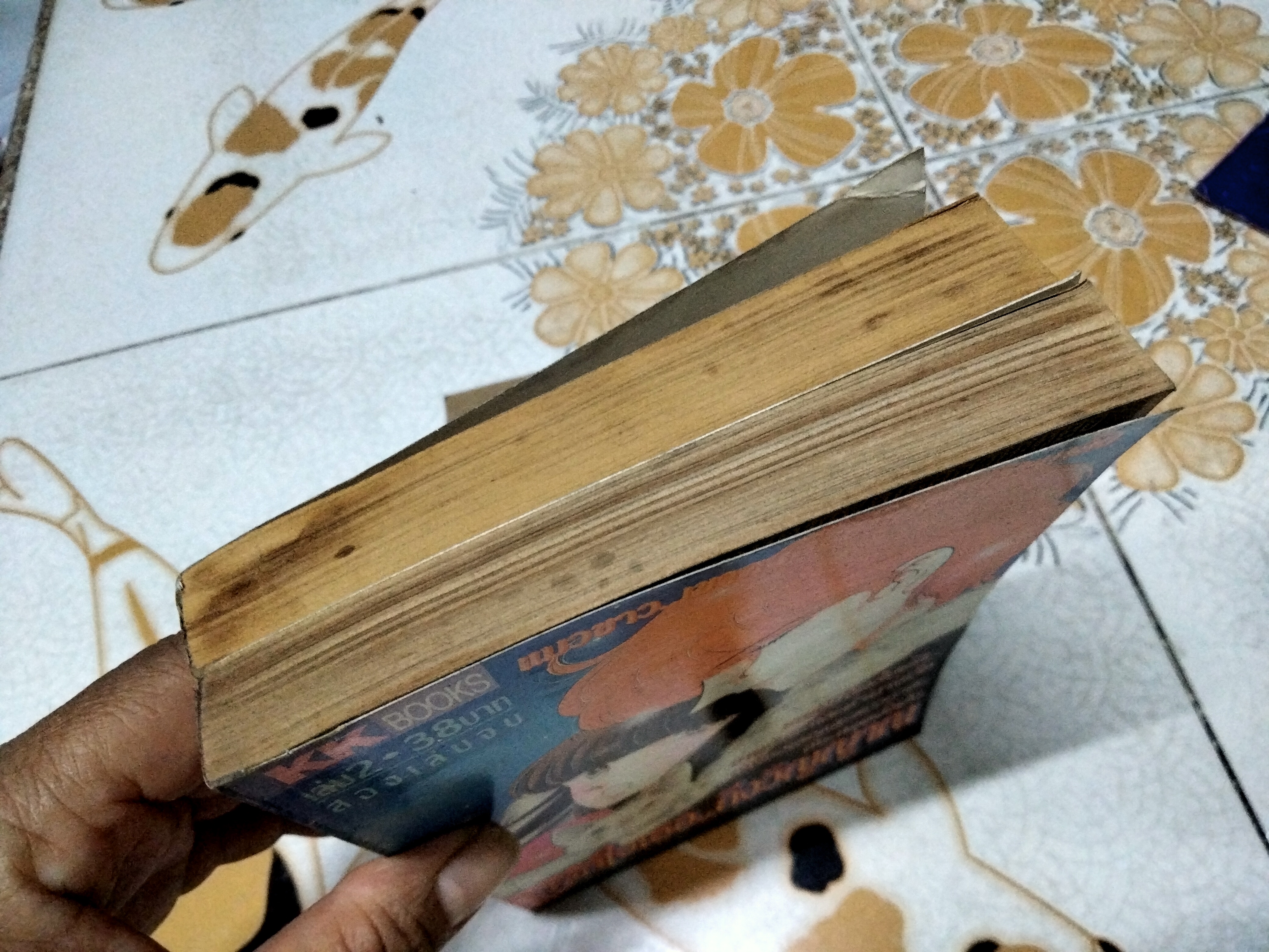 จากใจเธอ ถึงวิญญาณ (2 เล่มจบ / KK Books) Shinohara Chie ...เรื่องเดียวกับ ภูตรักวิญญาณแค้น **สินค้าหมด**