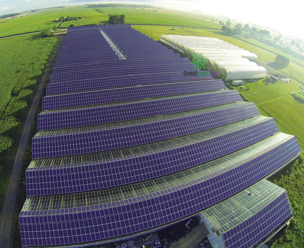 โรงเรือน Greenhouse Solar Roof บนหลังคา