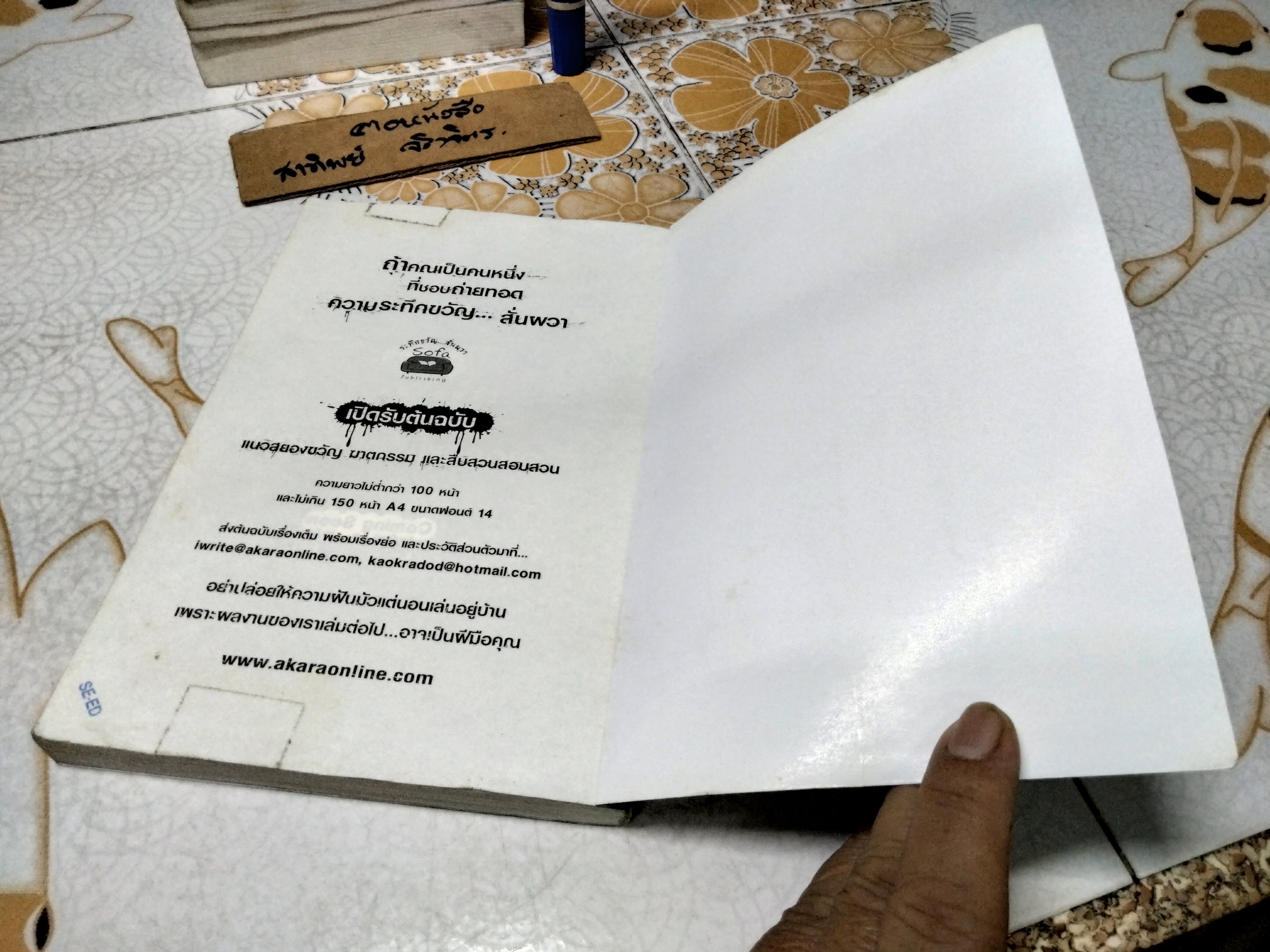 Mirror กระจกสั่งตาย (นิยาย) - ภาคินัย **สินค้าหมด**