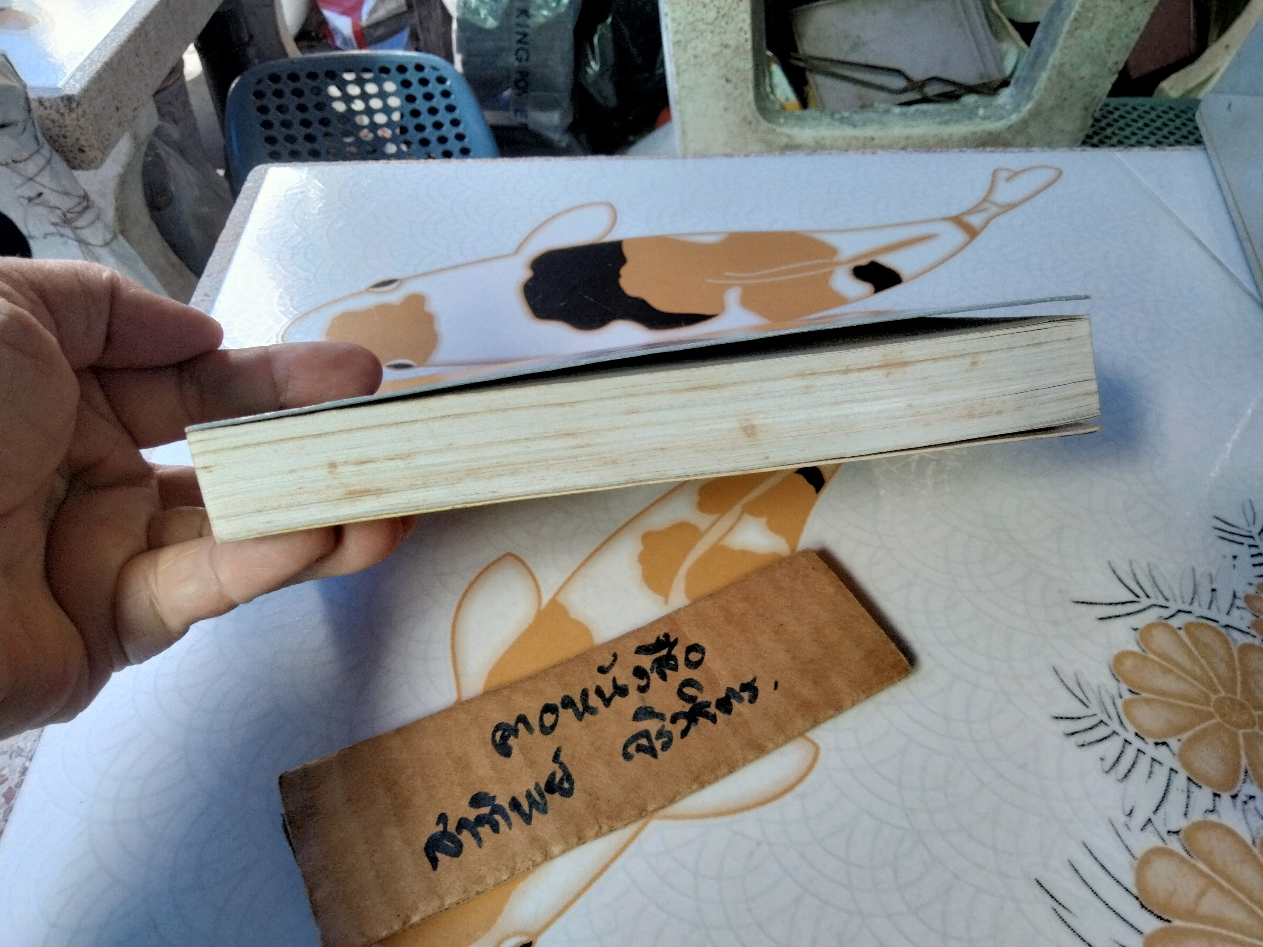 ชี้ค โดย ประภัสสร เสวิกุล นวนิยายสำหรับผู้มีความใฝ่ฝันในชีวิต