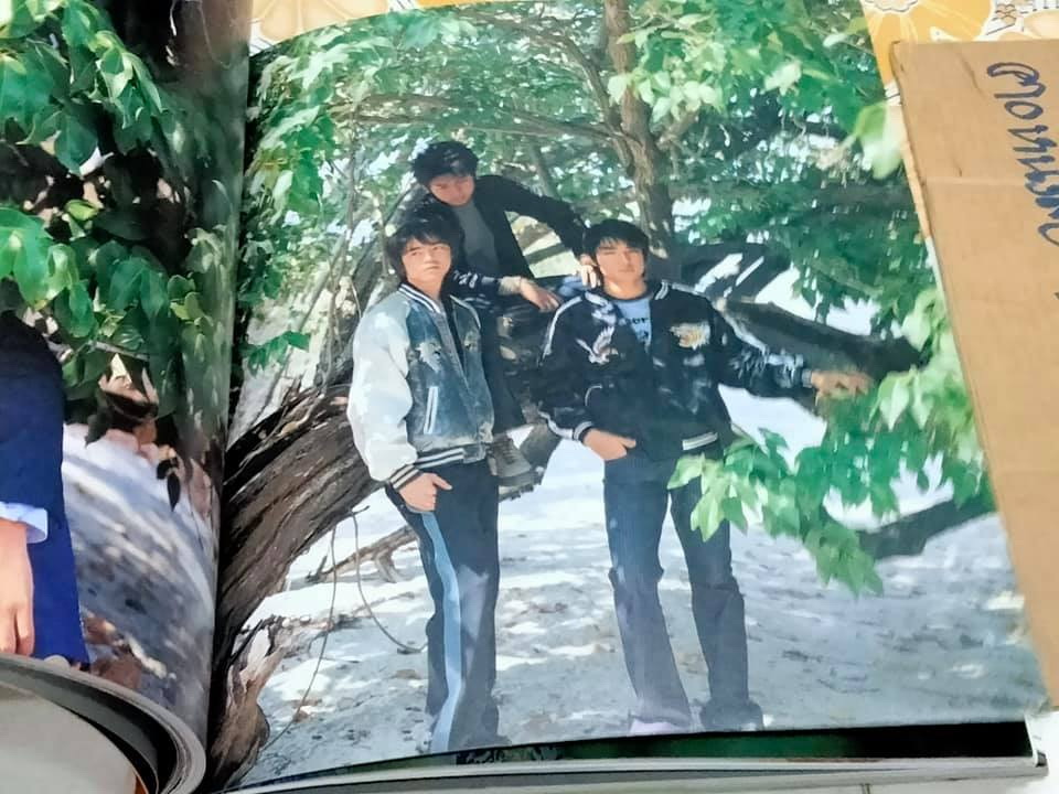 D2B thedefinitecollectivephotographyalbum **สินค้าหมด**