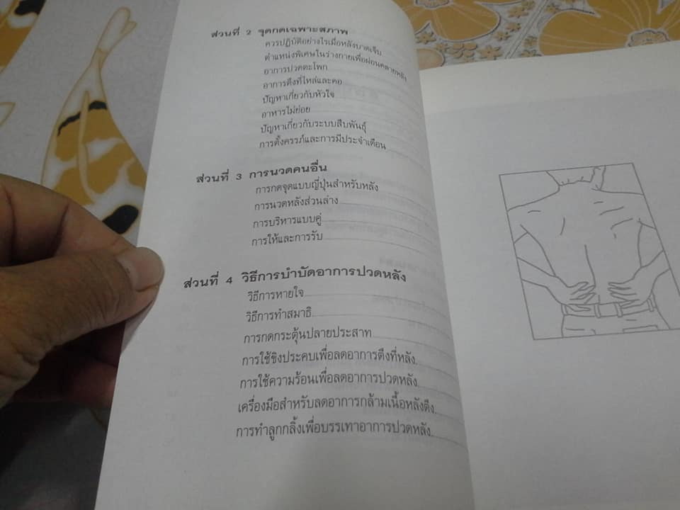 ปวดหลัง ทำอย่างไรให้หายปวด (The Bum Back Book) by Michael Reed Gach