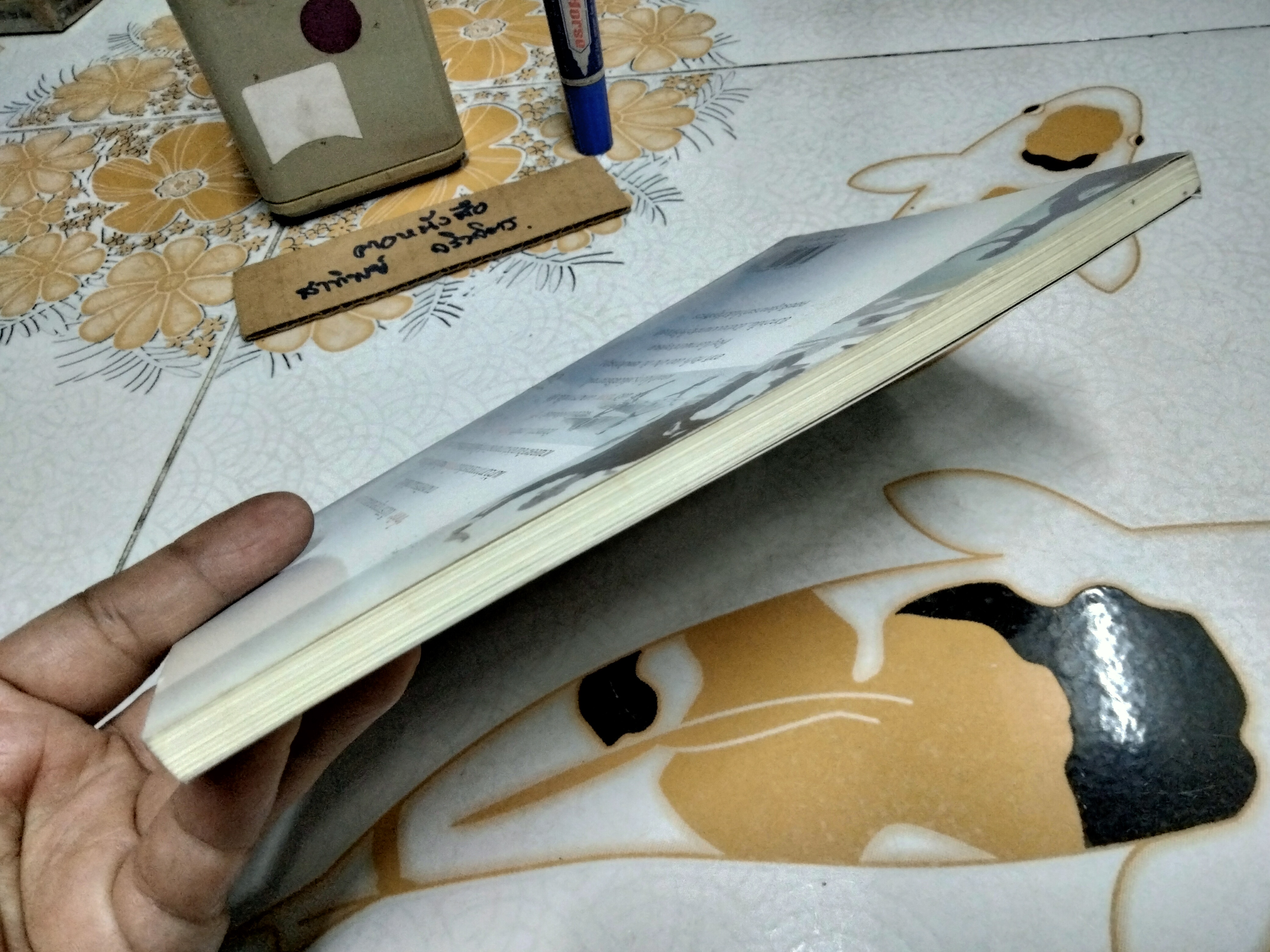 มหัศจรรย์แห่งไทเก๊ก-พลังปราณฟื้นชีวิต เรียบเรียงโดย สุพัตรา แซ่ลิ่ม