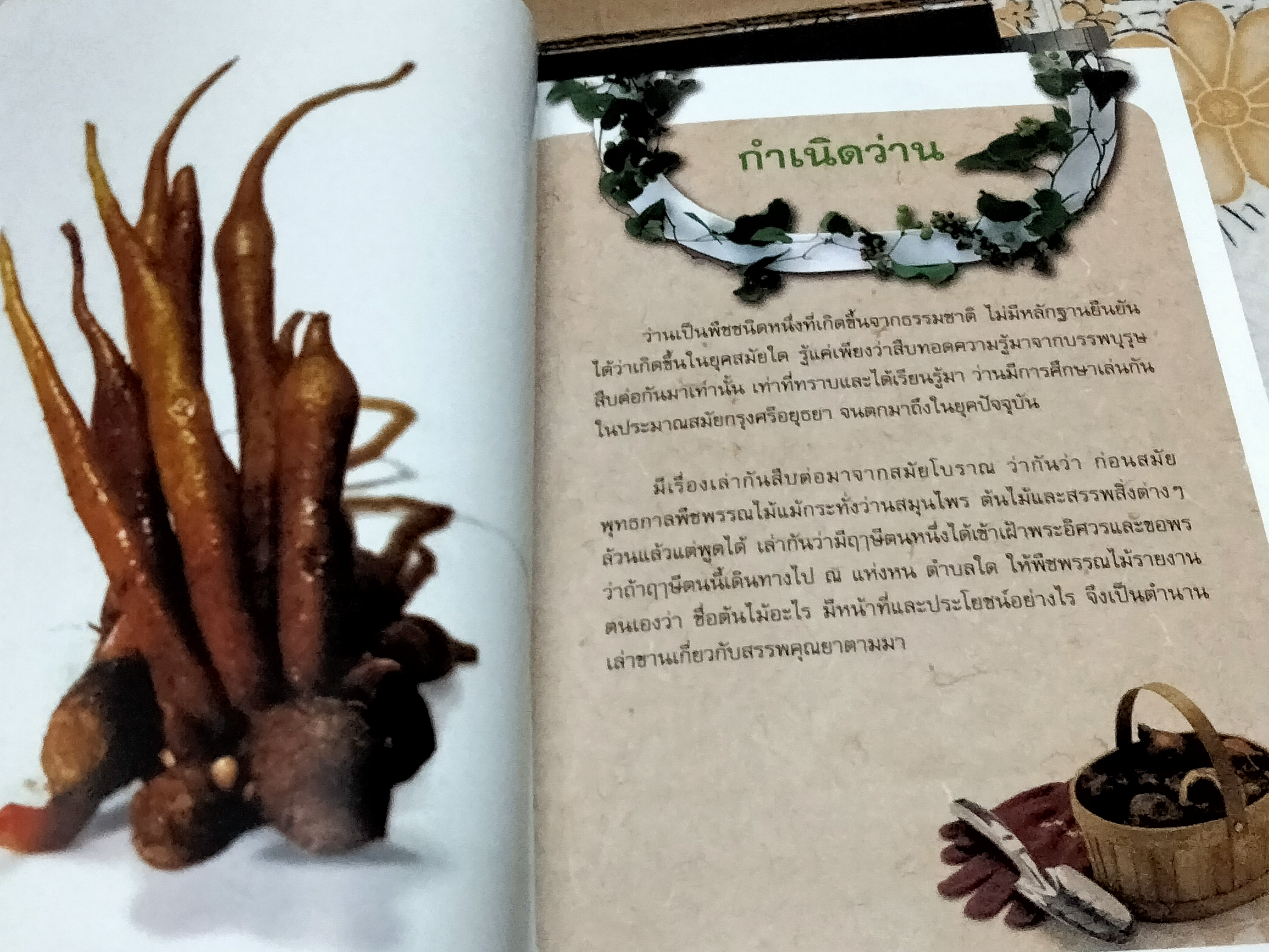 หนังสือ ตำนานว่านไทย โดย ชมรมว่านมหาเศรษฐี