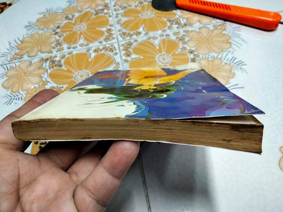 ด้วยรักแด่ผู้ทรยศ (เล่มเดียวจบ) HARA CHIEKO (หนังสือเช่า) **สินค้าหมด**