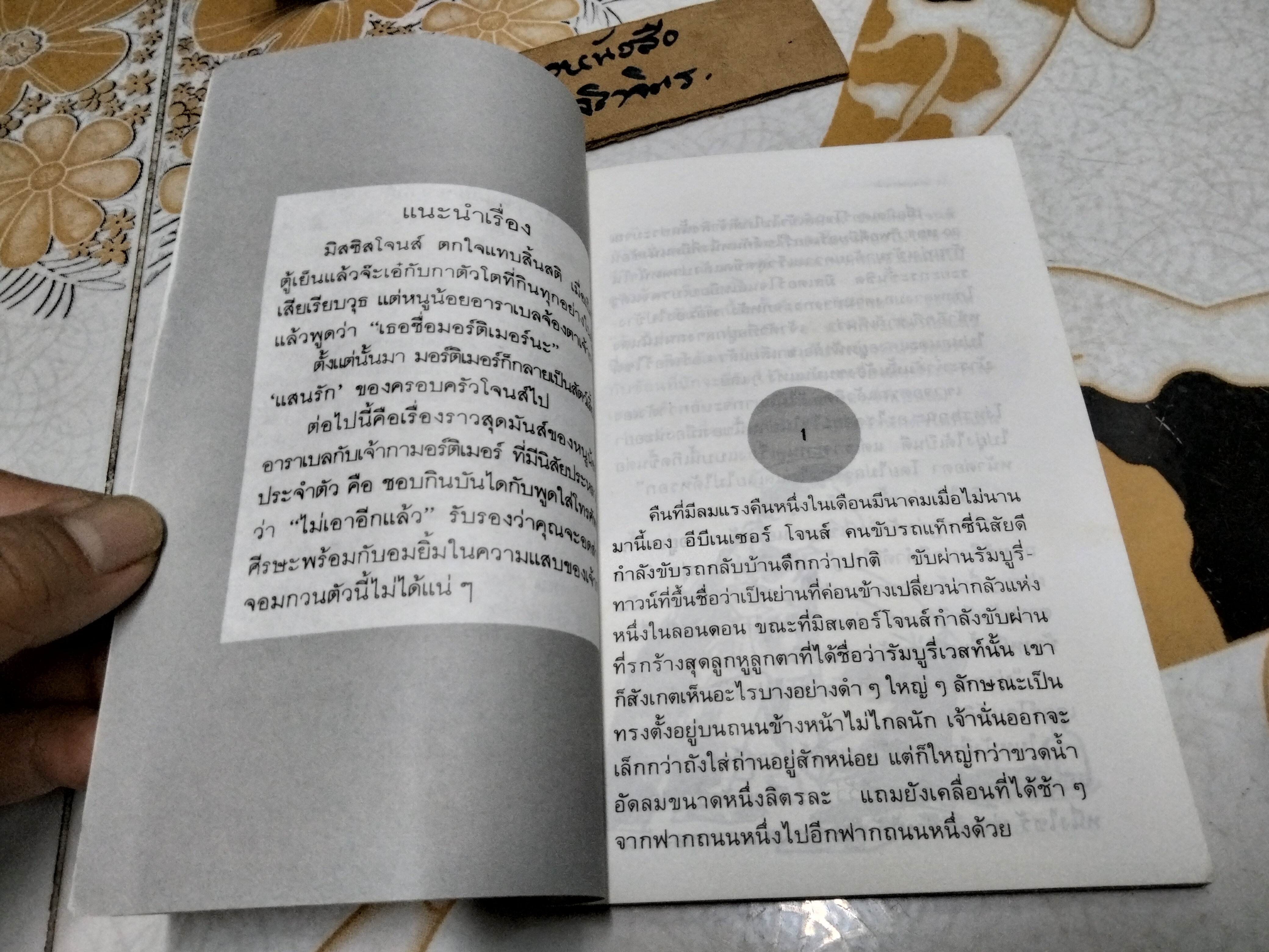 เจ้ากาจอมกวน ตอน เธอชื่อมอร์ติเมอร์นะ TALES OF ARABEL'S RAVEN โจนส์ ไอเคน เขียน / ปิยะภา แปล พิมพ์ครั้งแรก 2534 **สินค้าหมด**