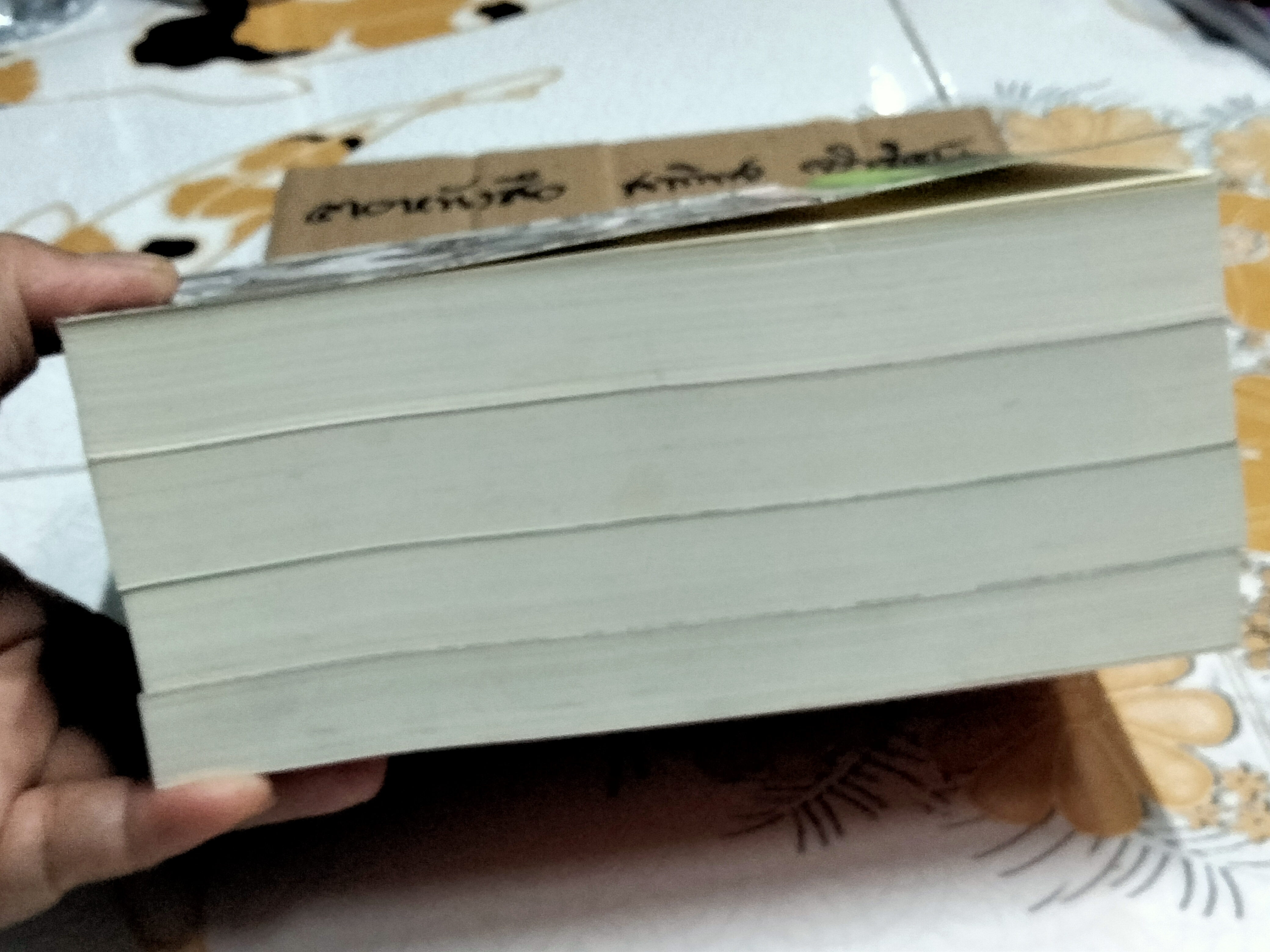 หนังสือชุดไพรมืด (4 เล่มครบชุด) - วัธนา บุญยัง **สินค้าหมด**