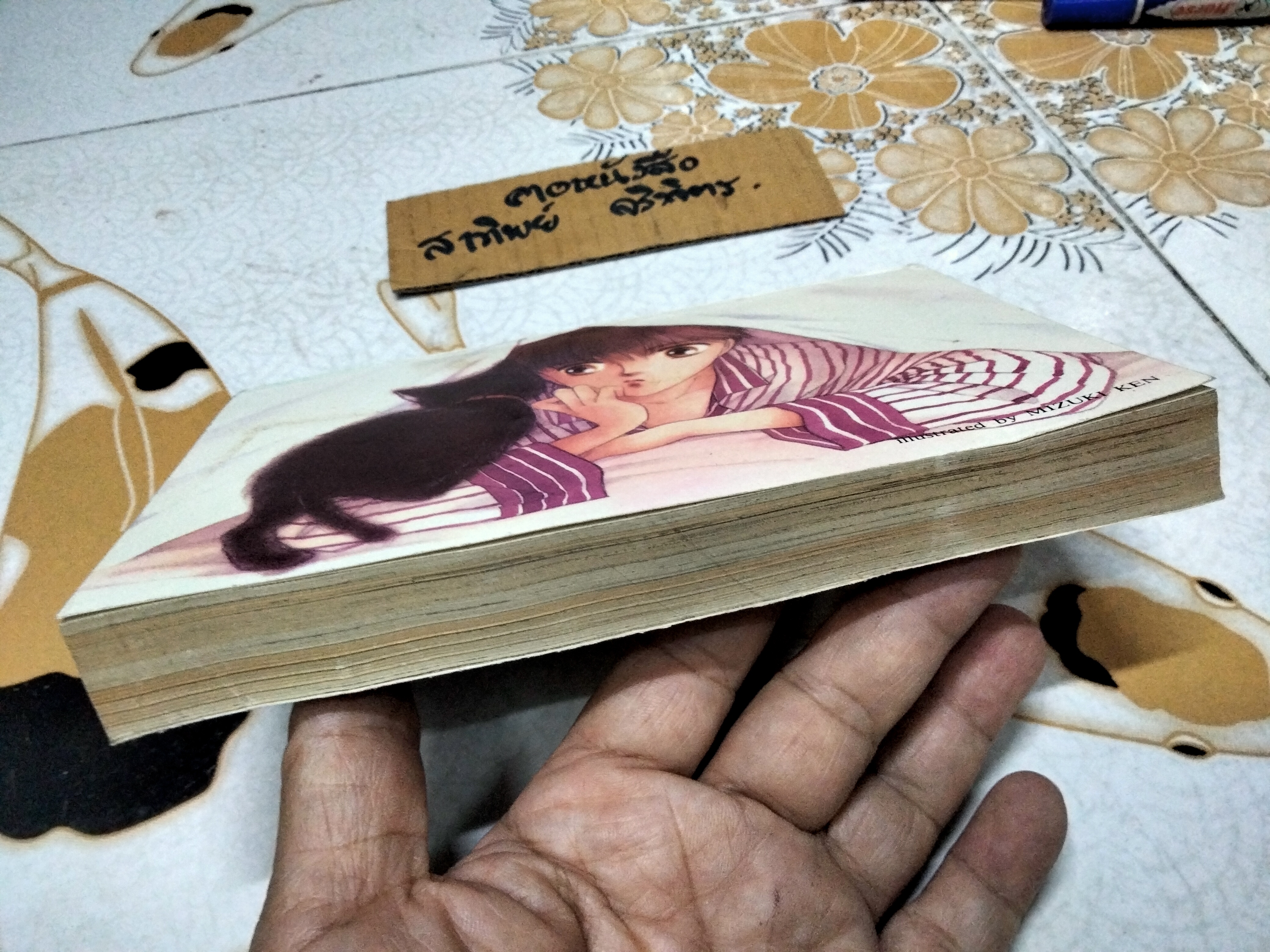 เก็บรักใส่สมุด (เล่มเดียวจบ) FUJIMURA MARI