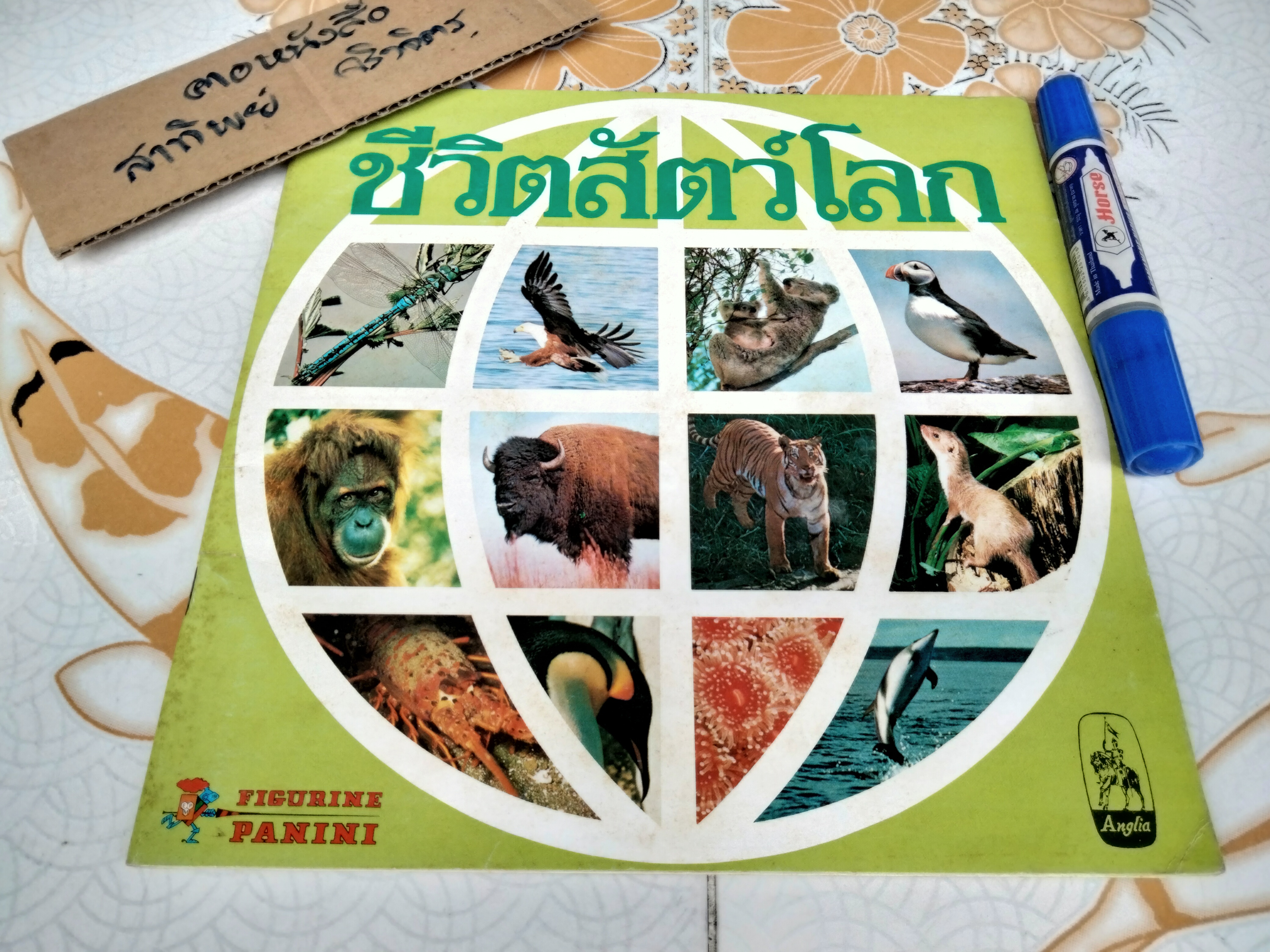 สมุดสะสมสติกเกอร์ ชีวิตสัตว์โลก (แปะสติกเกอร์ 178 รูป จากทั้งหมด 240 รูป) **สินค้าหมด**