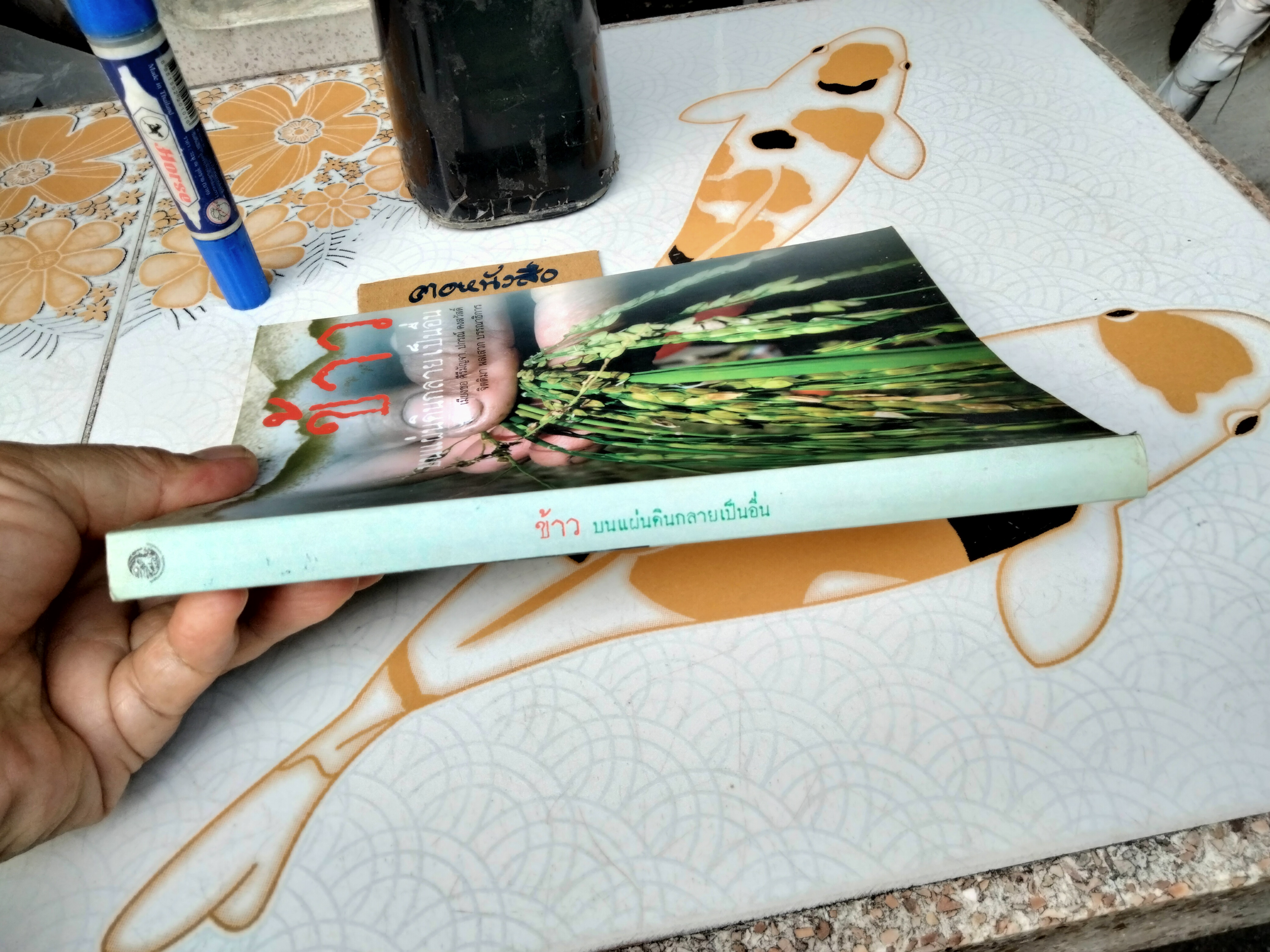 ข้าวบนแผ่นดินกลายเป็นอื่น - เมียงซอ คีรีมัญจา , ปกรณ์ คงสวัสดิ์ - จิตติมา ผลเสวก , บรรณาธิการ