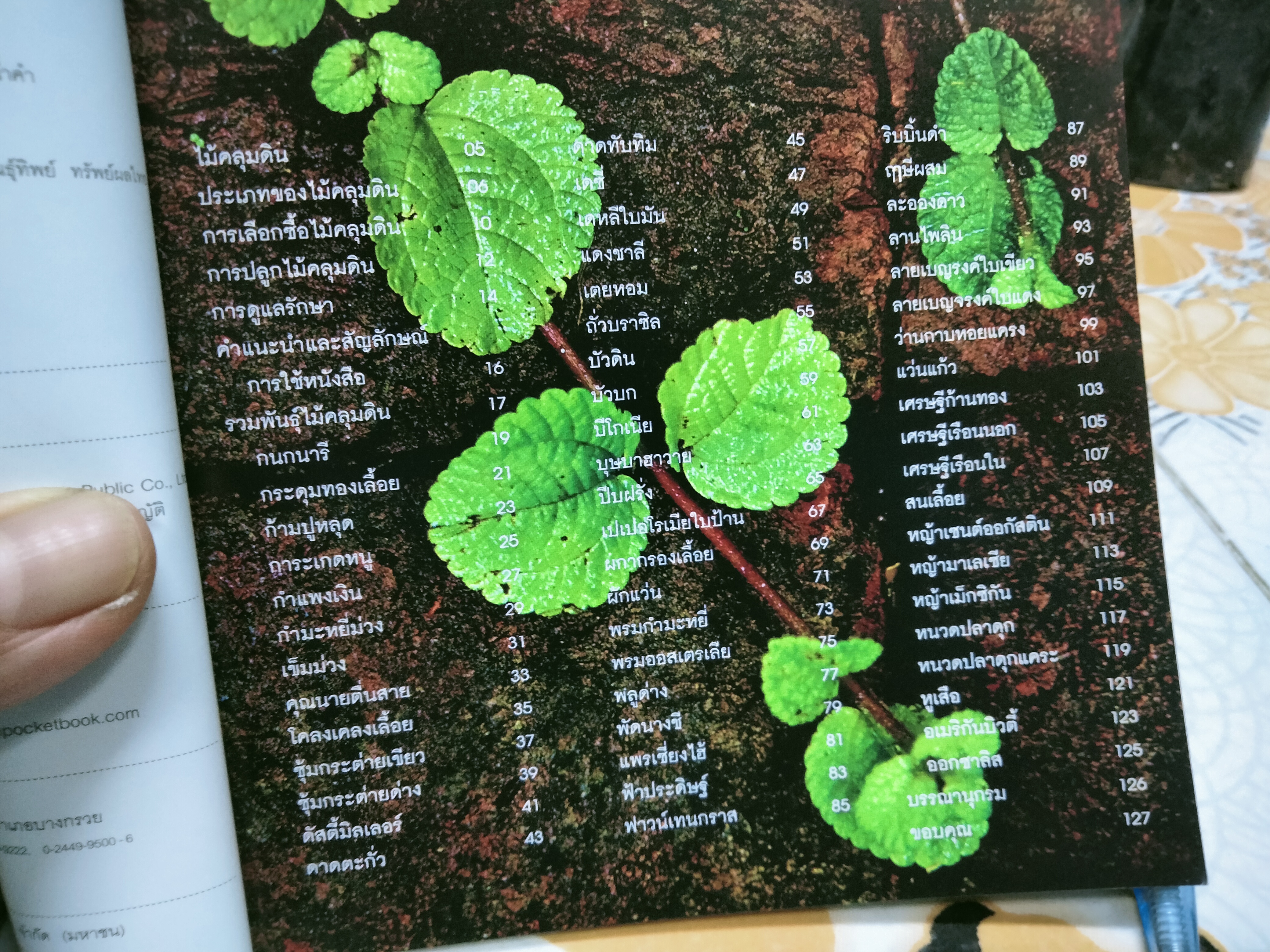 ไม้คลุมดิน - คู่มือคนรักต้นไม้ ชุดที่ 6 โดย ธิวลักษณ์ บุนนาค พิมพ์ครั้งที่ 1 สำนักพิมพ์บ้านและสวน **สินค้าหมด**