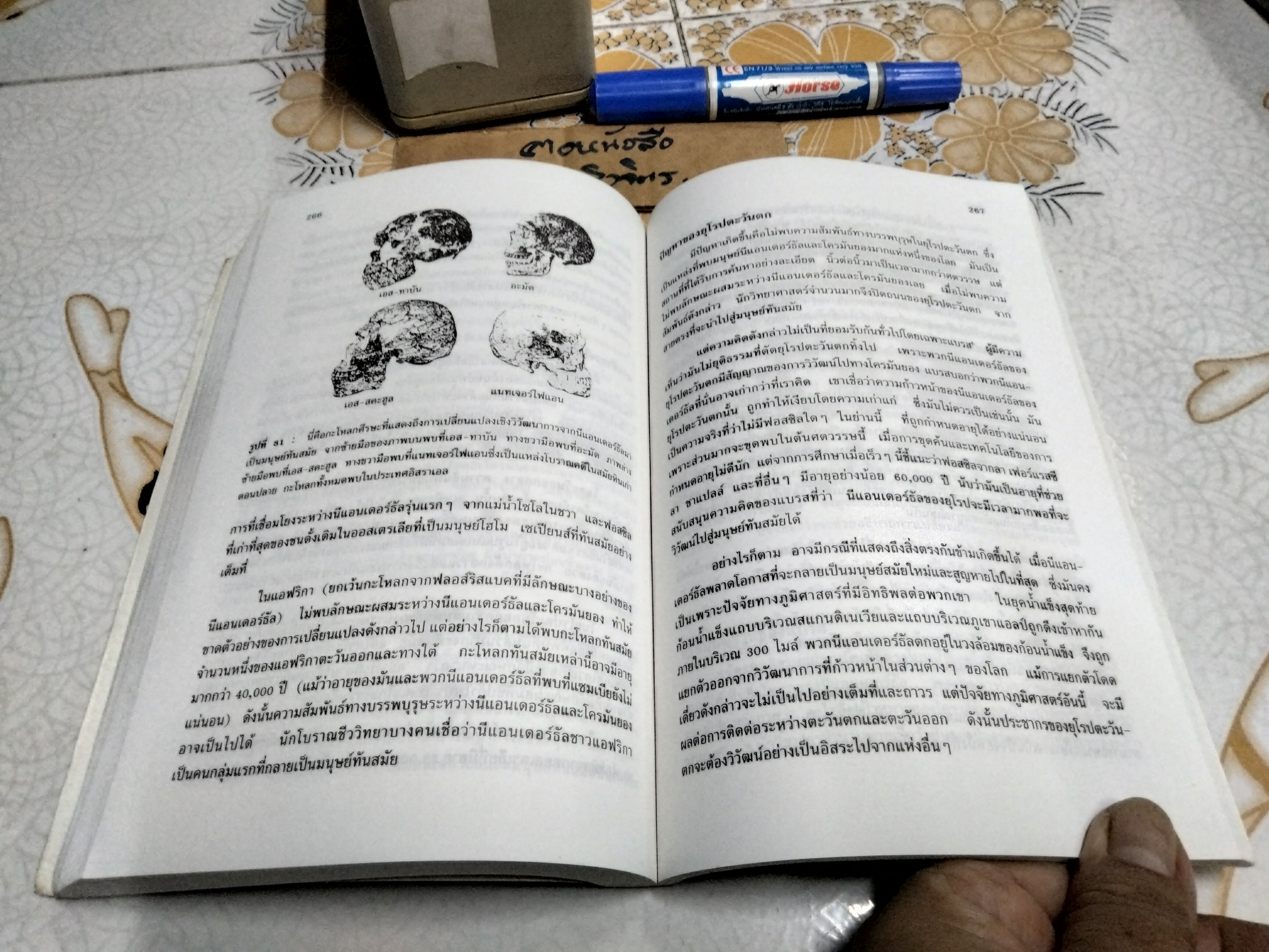 มานุษยวิทยากายภาพ : วิวัฒนาการทางกายภาพและวัฒนธรรม ผู้เขียน รศ.ดร. งามพิศ สัตย์สงวน **สินค้าหมด**