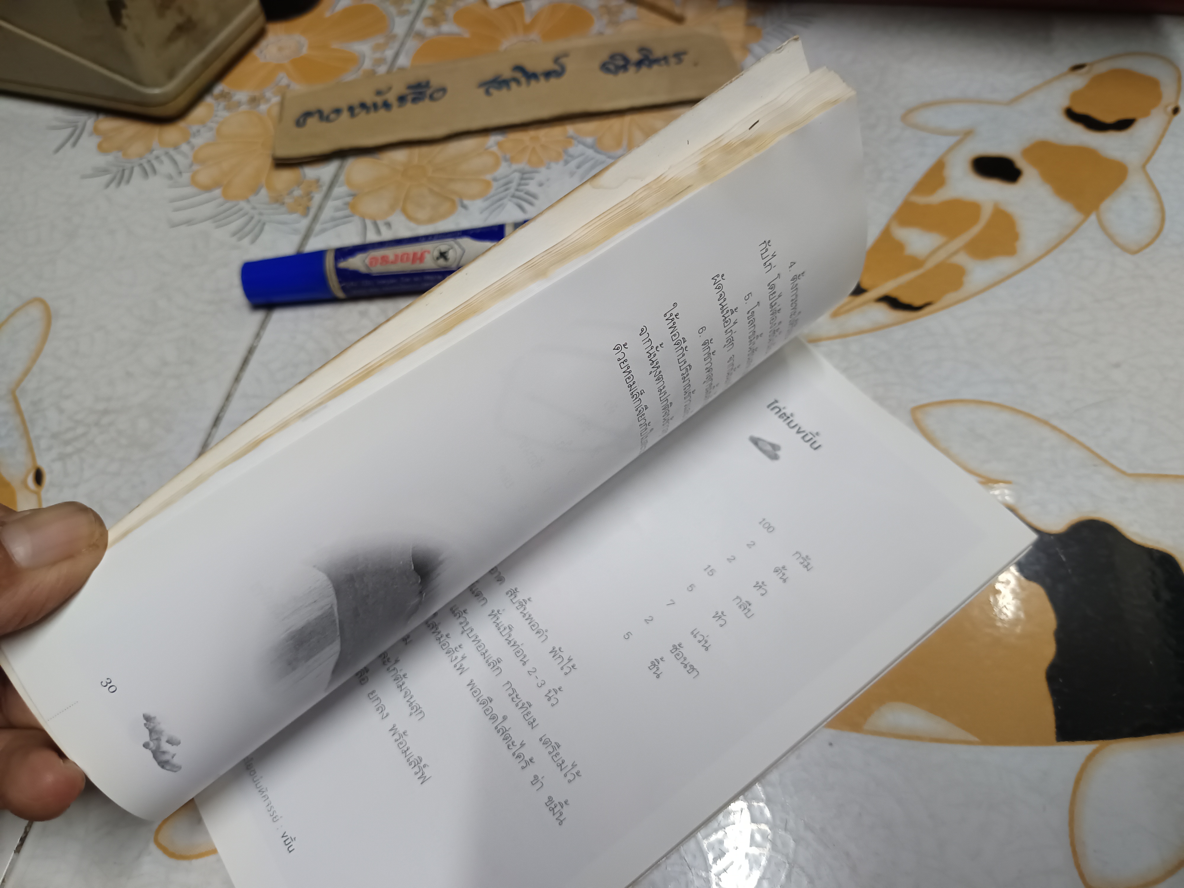 ประโยชน์มหัศจรรย์ : ขมิ้น (หนังสือโดนน้ำ/ อ่านได้ตามปกติ กระดาษไม่ติด)