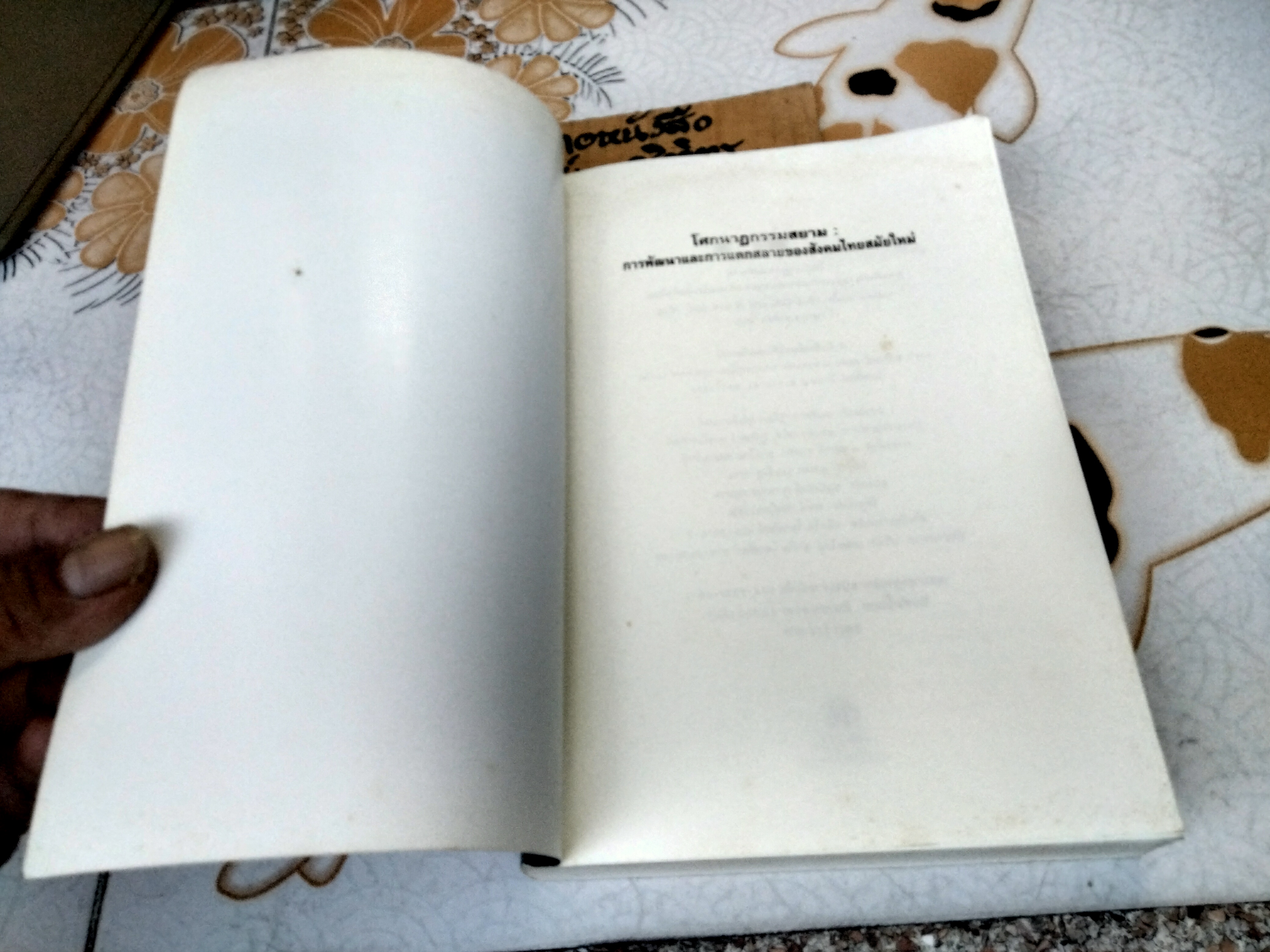 โศกนาฏกรรมสยาม -การพัฒนาและการแตกสลายของสังคมไทยสมัยใหม่ โดย วอลเดน เบลโล. เชียร์ คันนิงแฮม, ลี เค็ง ปอห์ สุรนุช ธงศิลา แปล **สินค้าหมด**