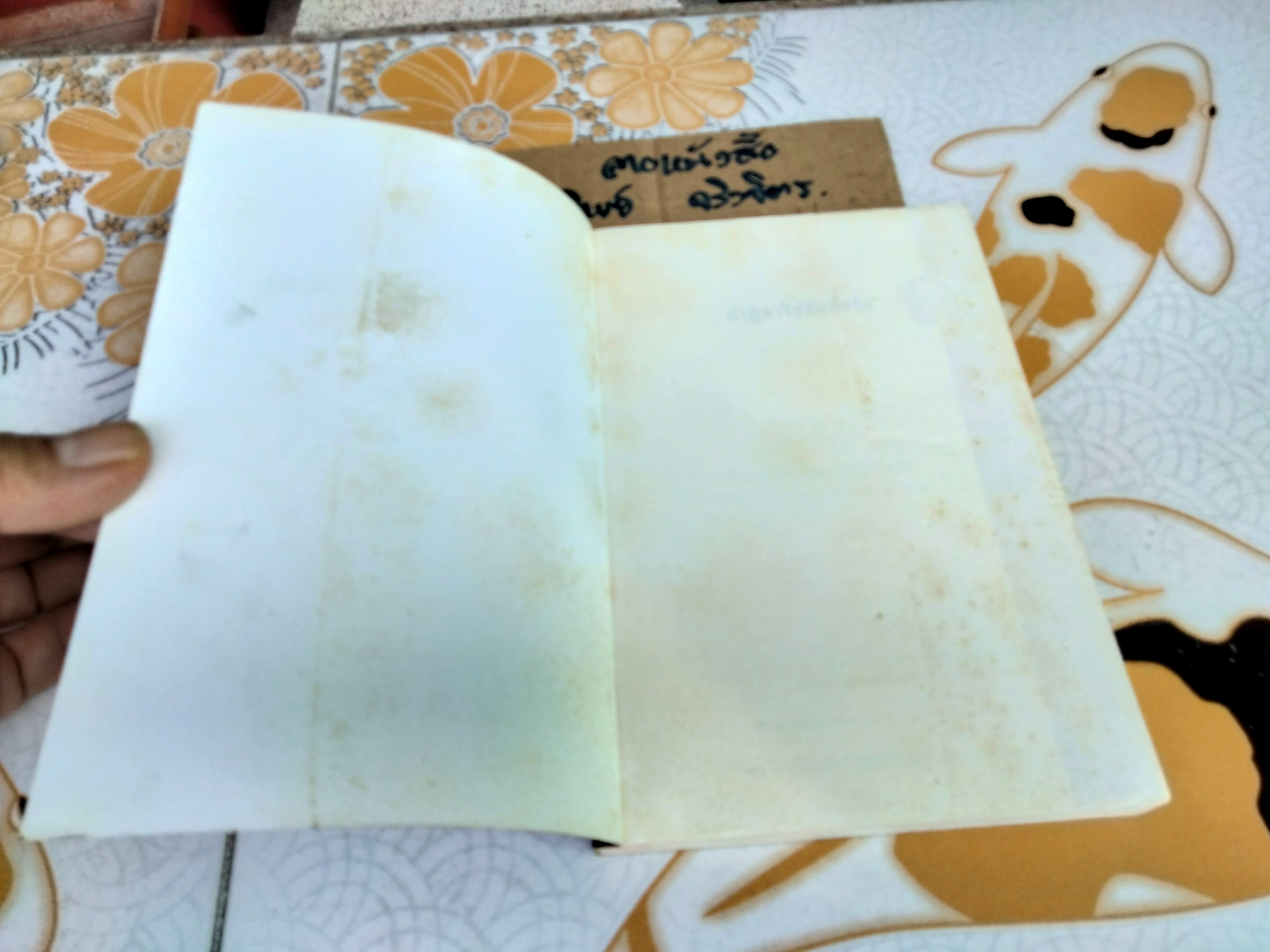 The Notebook ปาฏิหาริย์บันทึกรัก - Nicholas Sparks, จิระนันท์ พิตรปรีชา แปล