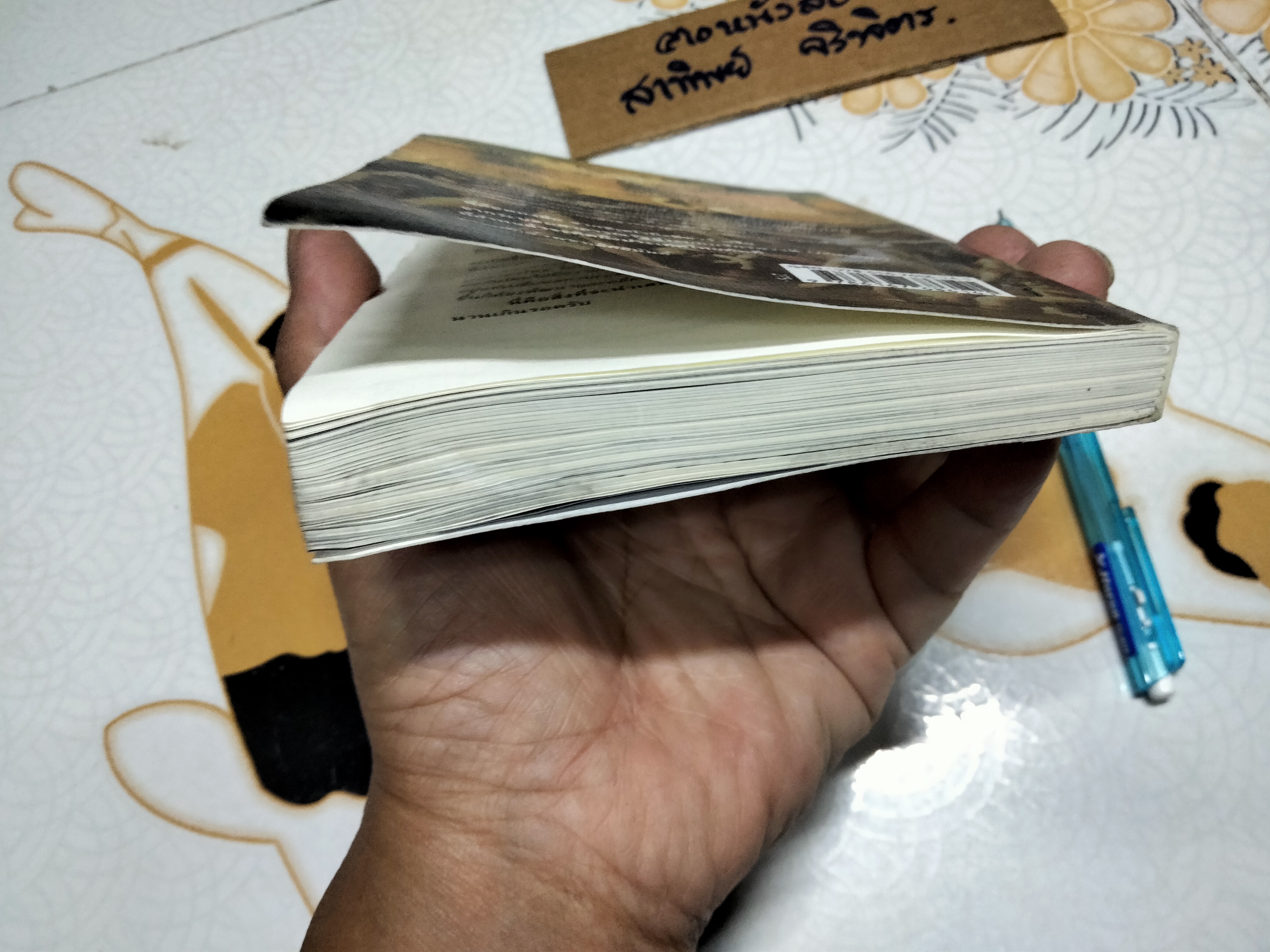 จากซิเซโรถึงซีซาร์ From Cicero to Caesar โดย วีระ ธีรภัทร (หนังสือโดนน้ำ) **สินค้าหมด**