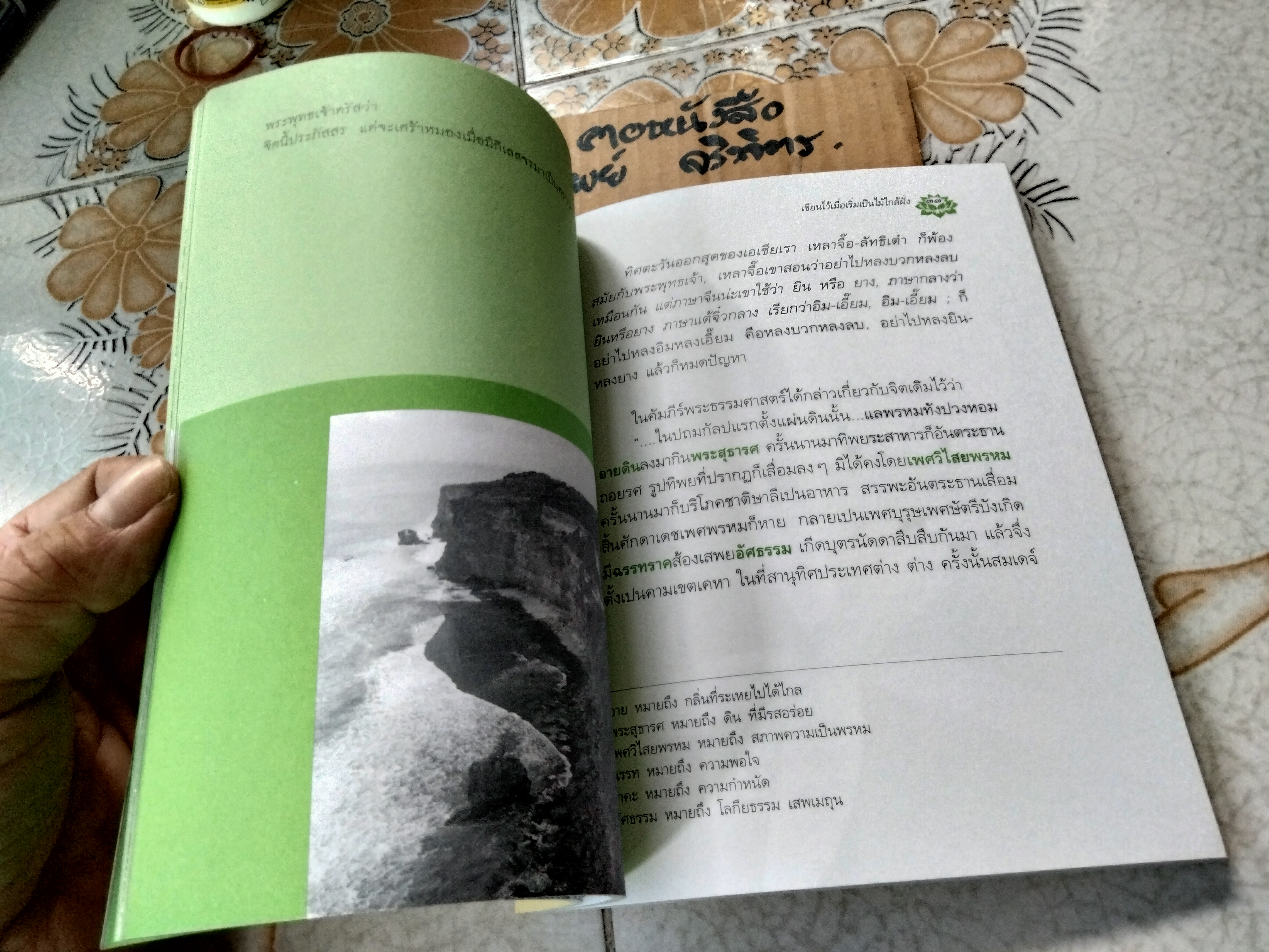 เขียนไว้เมื่อเริ่มเป็นไม้ใกล้ฝั่ง โดย แสวง บุญเฉลิมวิภาส