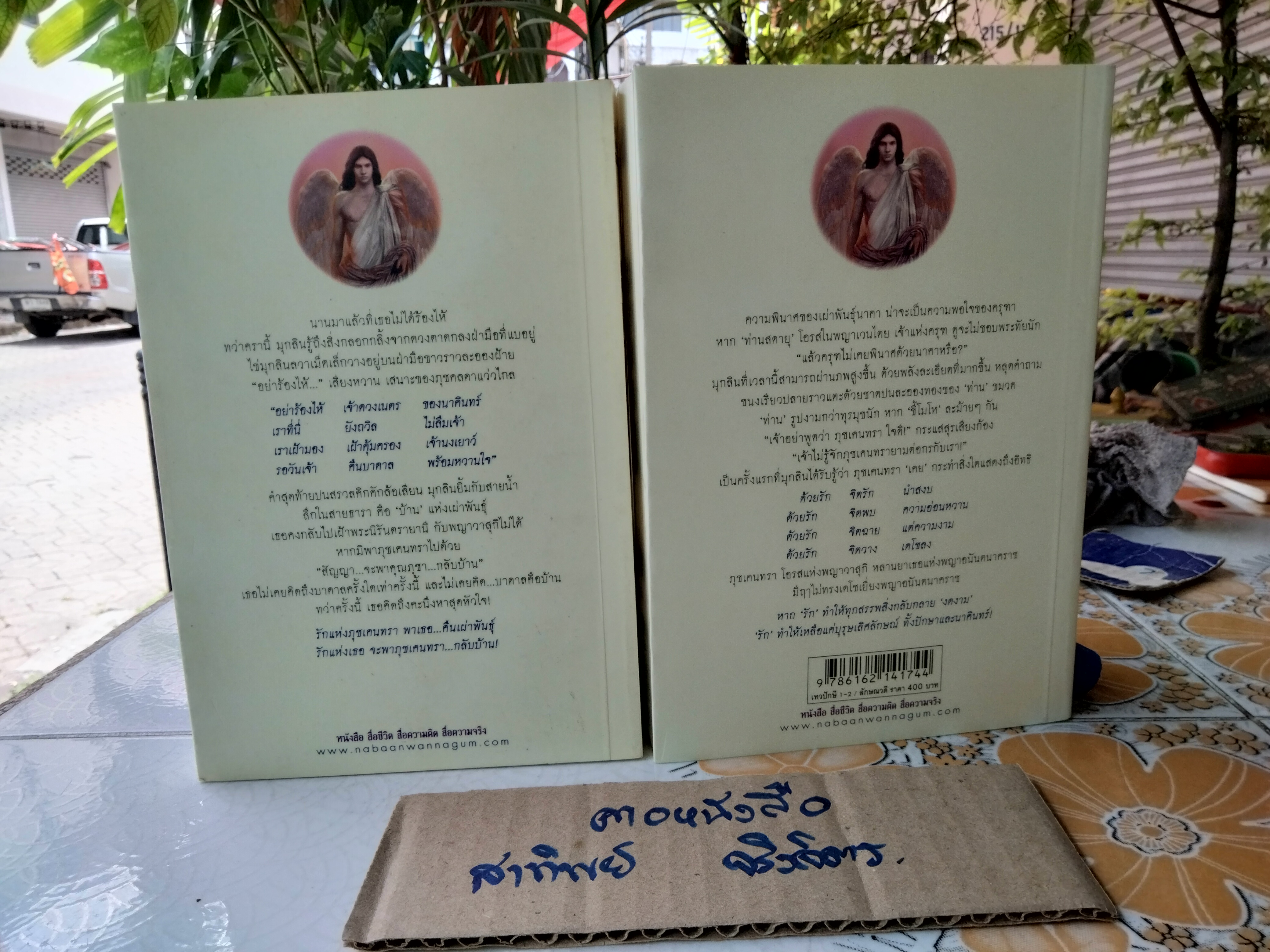 เทวปักษี เล่ม 1-2 หนึ่งในชุด นิยายไตรภาค ของ ลักษณวดี สนพ. ณ บ้านวรรณกรรม