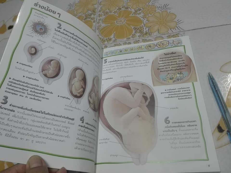 หนังสือชุด 100 เรื่องน่ารู้เกี่ยวกับ ร่างกายของเรา (ลำดับที่ 4)**สินค้าหมด**