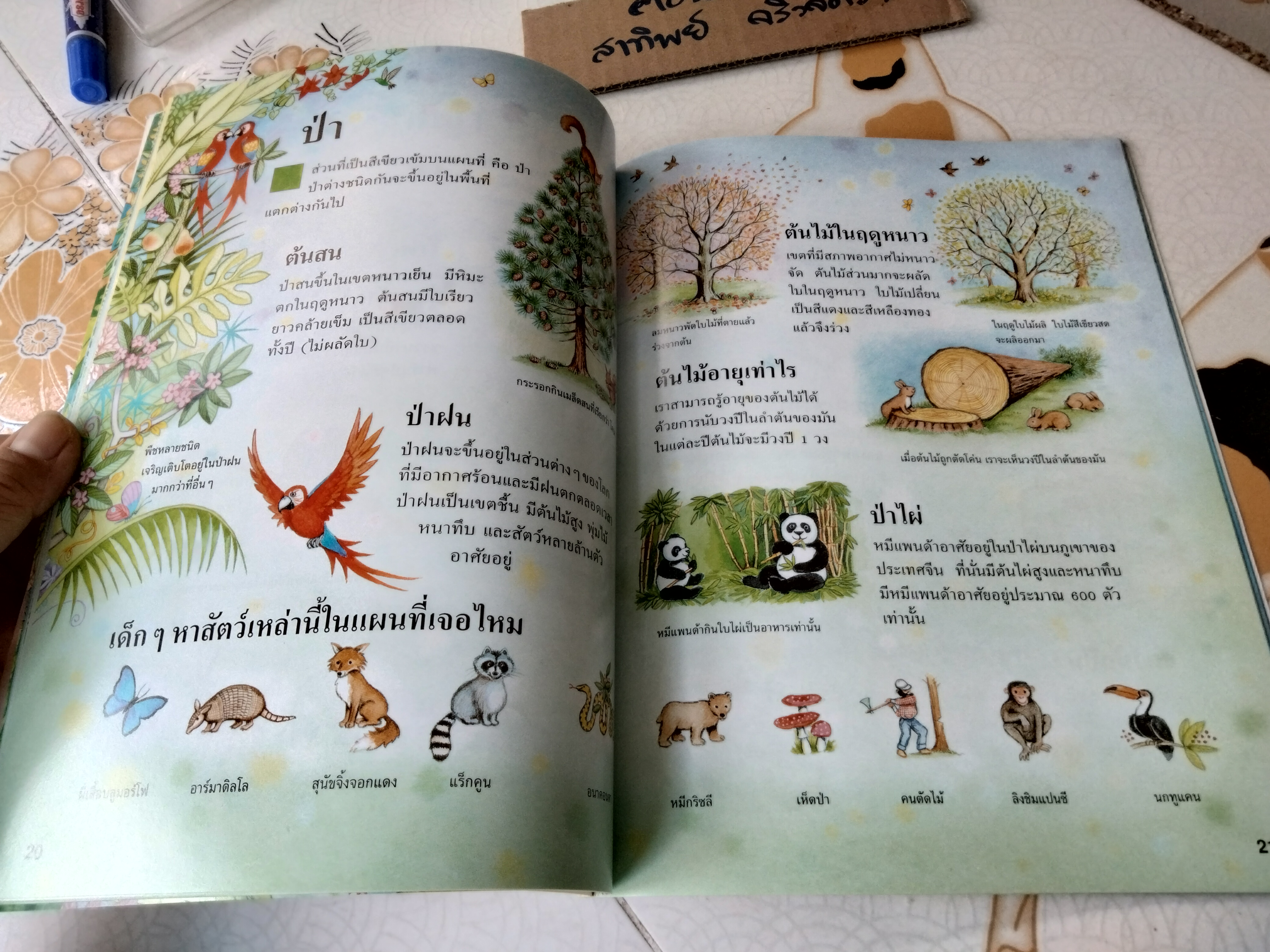 แผนที่โลกสำหรับเด็ก พาหนูน้อยสำรวจโลก Ruth Brocklehurst เขียน - ศุภวัลย์ ตันวรรณรักษ์ แปล **สินค้าหมด**