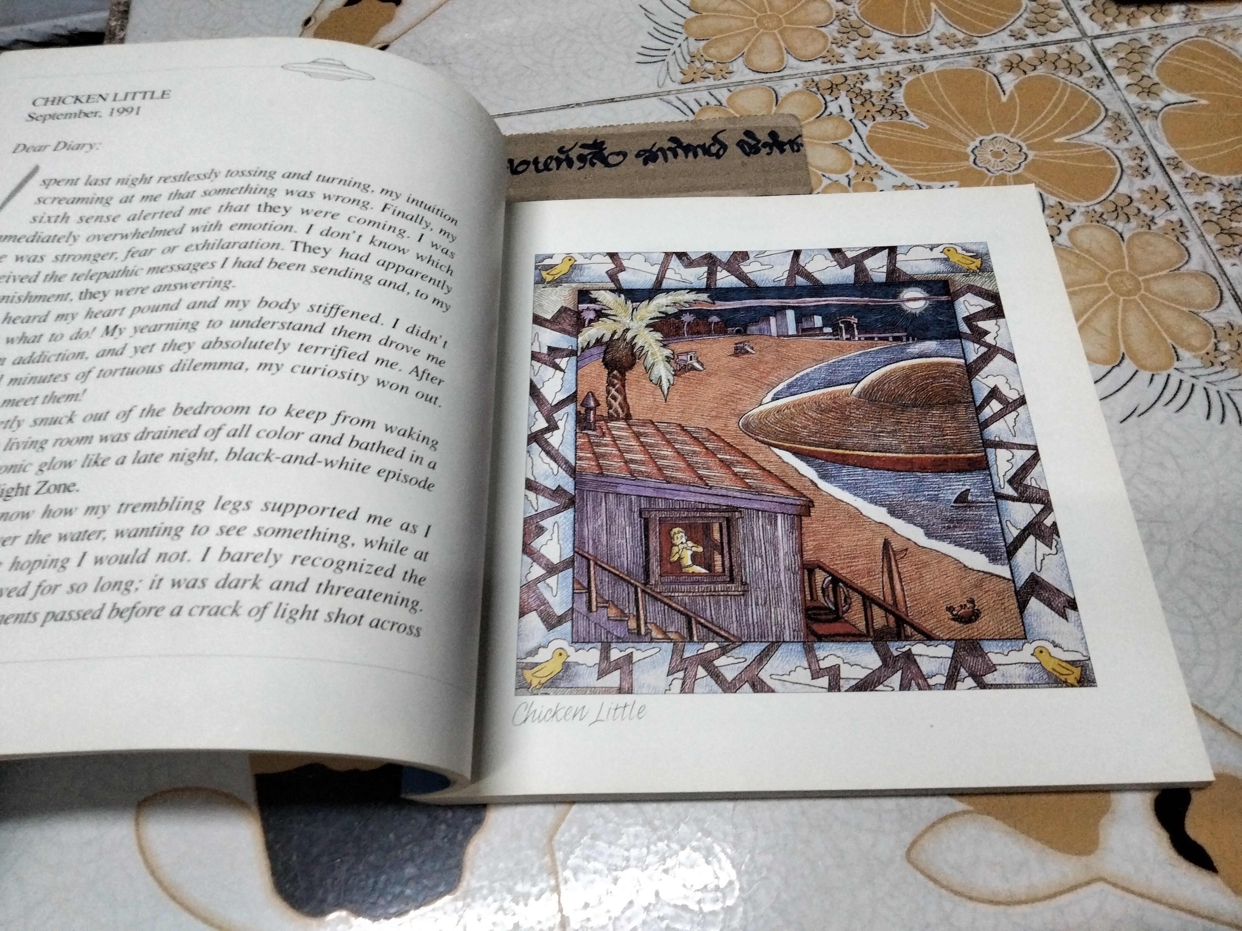 Beyond My Wildest Dreams : Diary of a UFO Abductee Kim Carlsberg , 1995