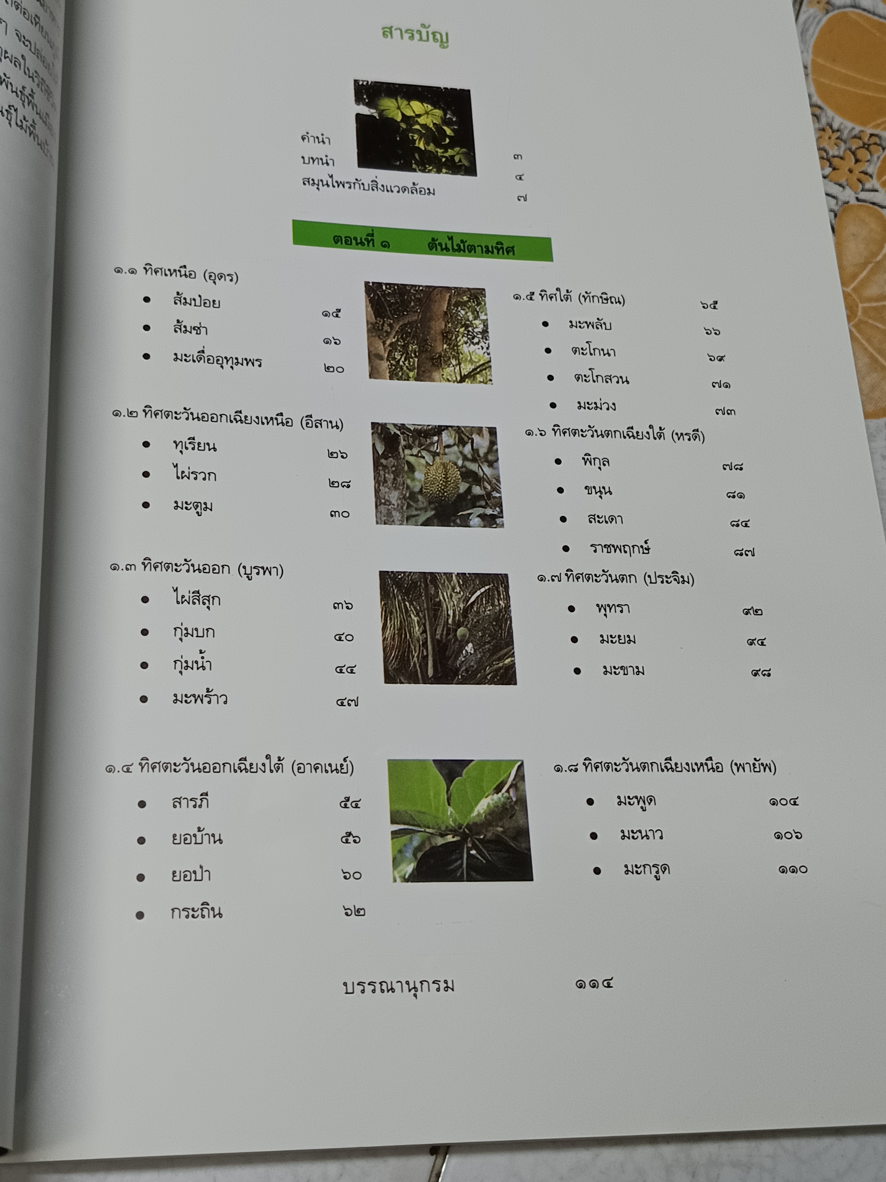 สมุนไพรกับวัฒนธรรมไทย ตอนที่ 1 : ต้นไม้ตามทิศ จัดพิมพ์โดย สถาบันการแพทย์แผนไทยกรมการแพทย์ พิมพ์ครั้งที่ 1/2540
