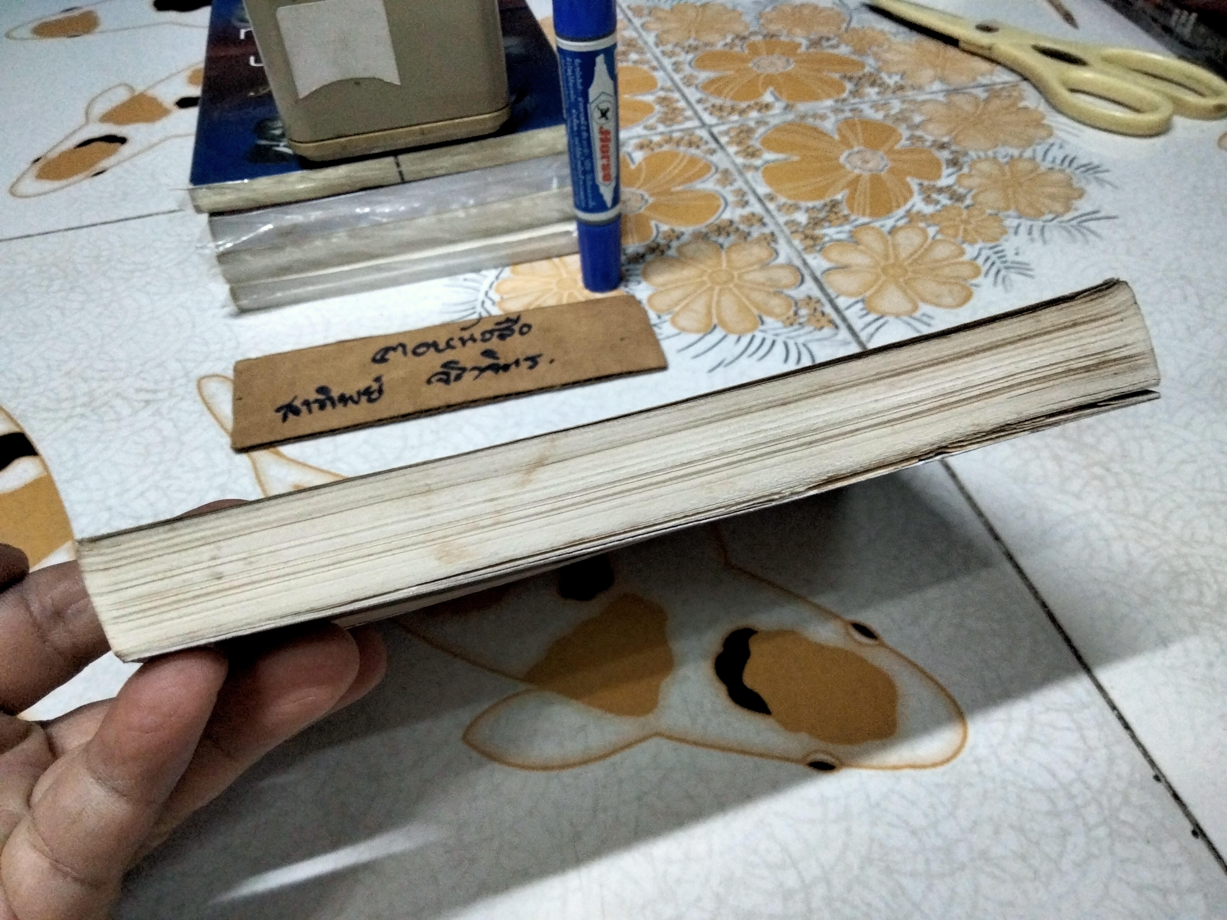 ไพ่ยิปซี กุญแจไขชีวิต โดย สังคม ฮอหรินทร์ พิมพ์ครั้งที่ 4/2538 (สภาพพอใช้) **สินค้าหมด**