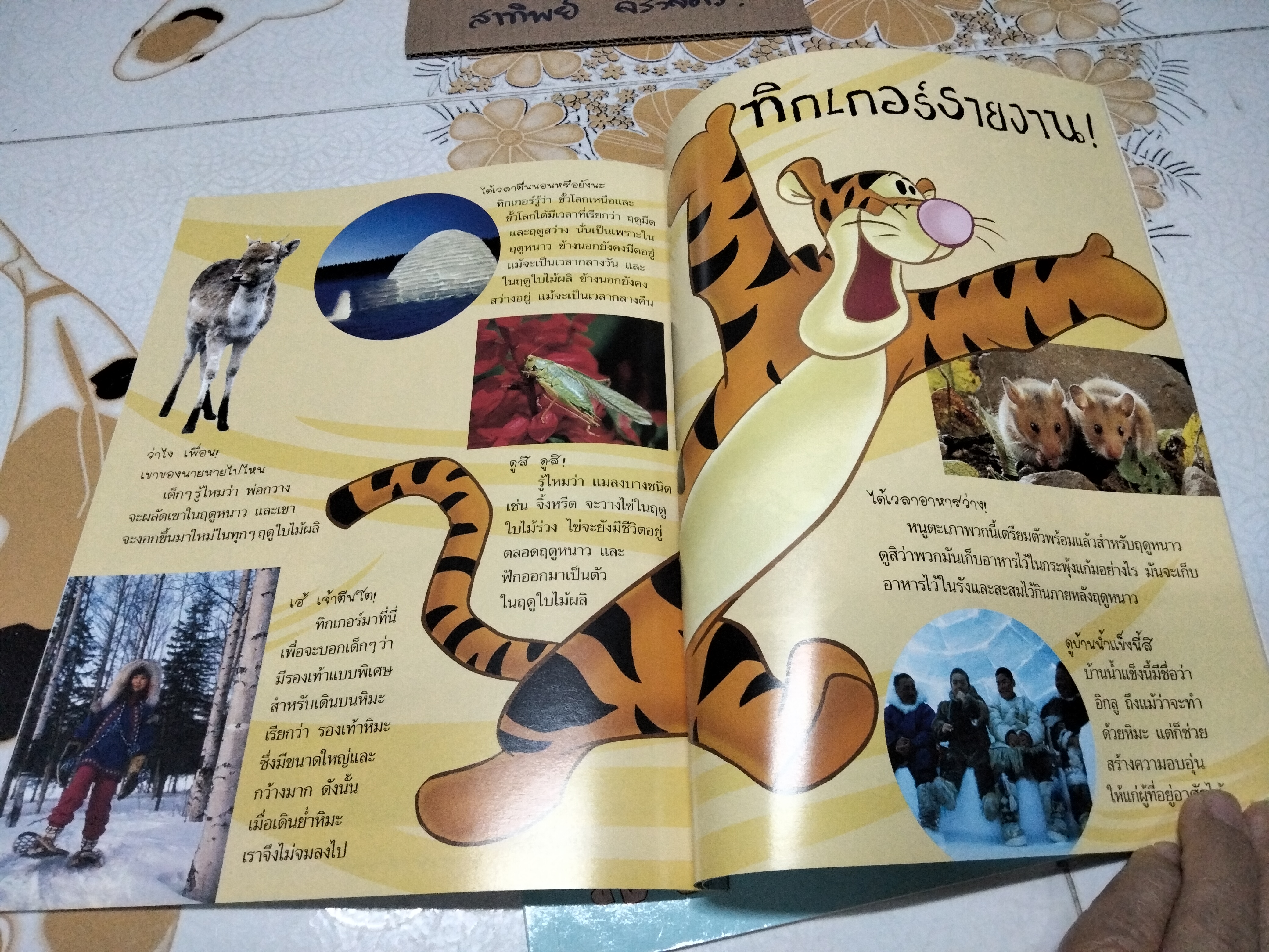 วินนี่เดอะพูห์เปิดโลกการเรียนรู้ (รวม 7 เล่ม) MY VERY FIRST ENCYCLOPEDIA WITH WINNIE THE POOH AND FRIENDS