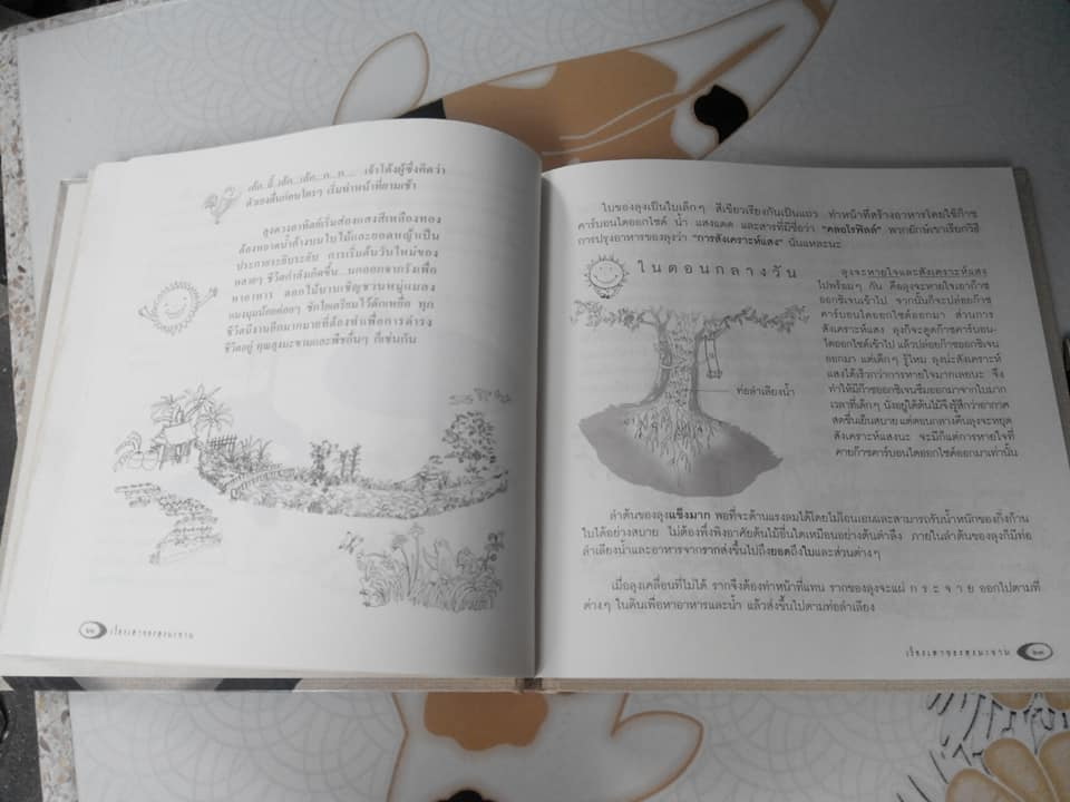 เรื่องเล่าของลุงมะขาม **สินค้าหมด**