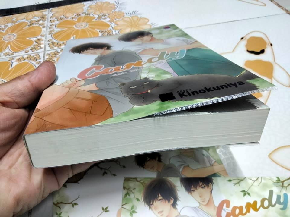 Candy - west เขียน (นิยายวาย)