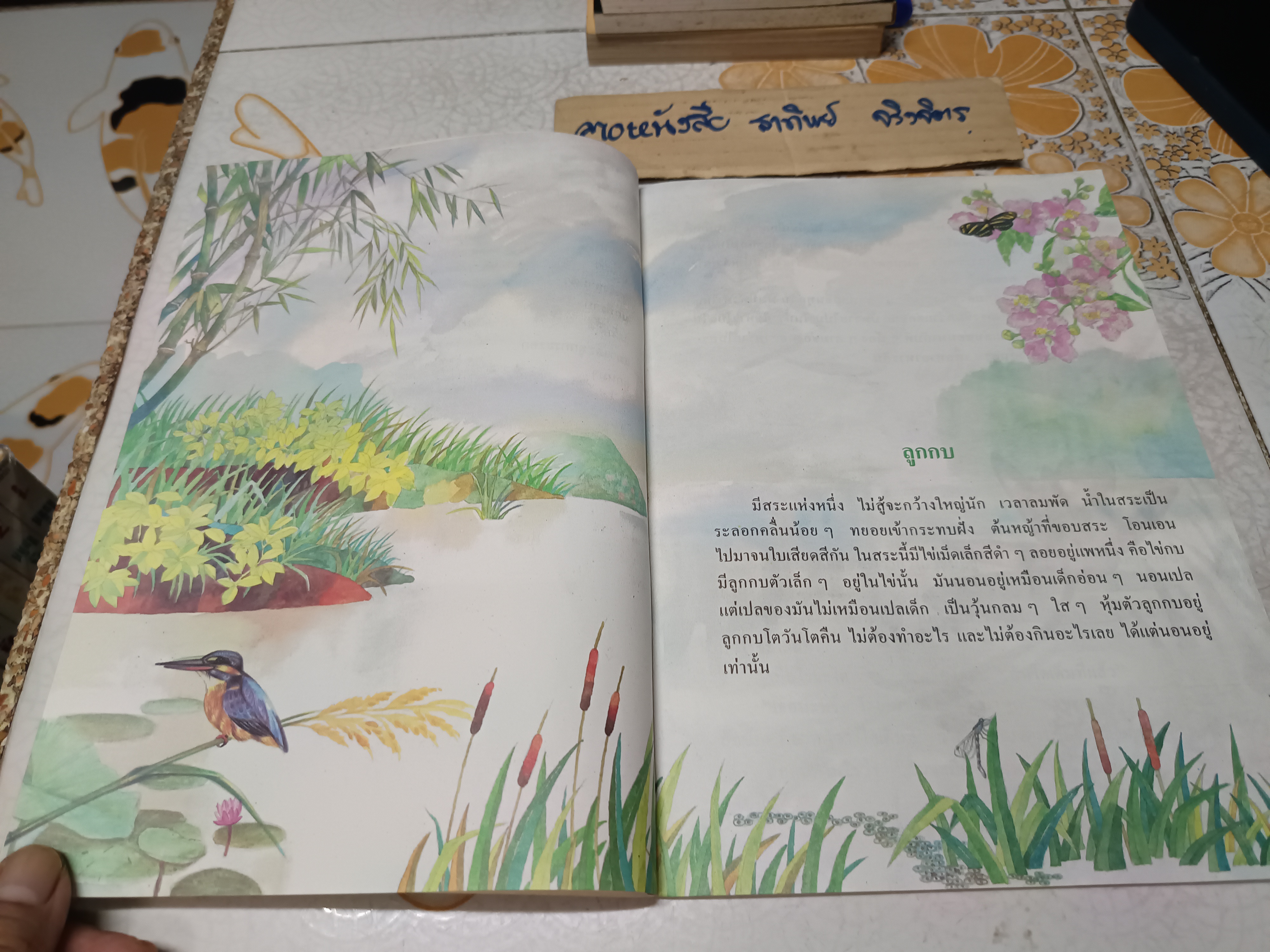 ลูกสัตว์ต่างๆ หนังสือส่งเสริมการอ่าน กลุ่มทักษะฯ ภาษาไทย ระดับประถมศึกษา กระทรวงศึกษาธิการ พิมพ์ครั้งที่ 6/2534 **สินค้าหมด**