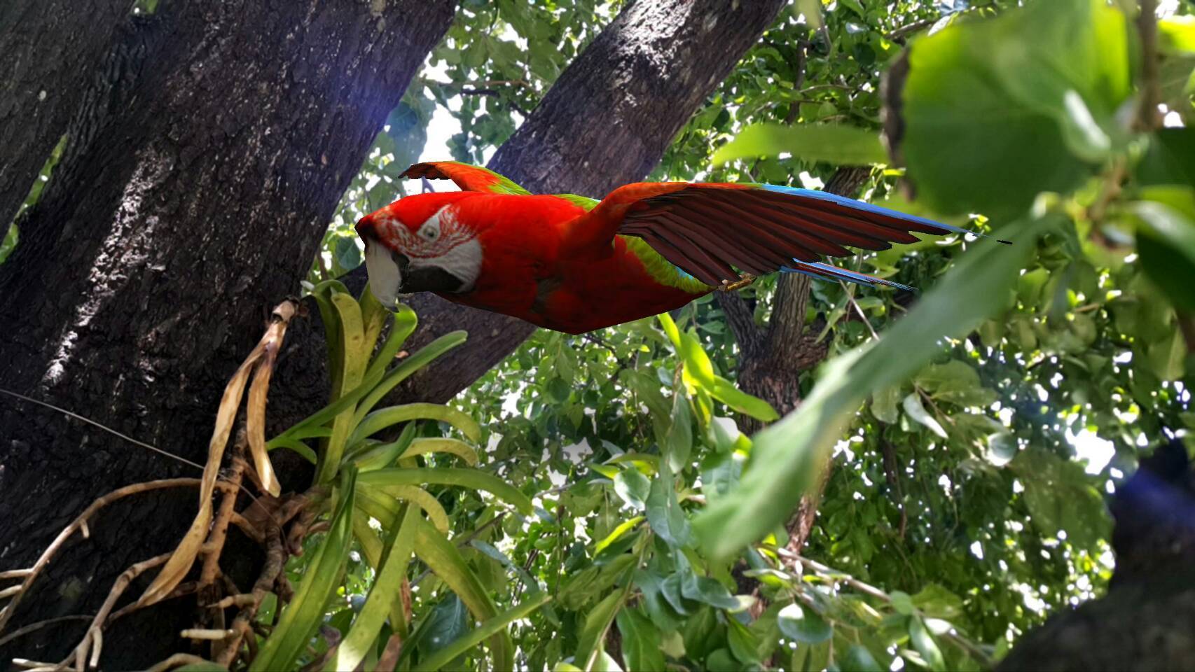 สื่อสามมิติ ด้านภาษา