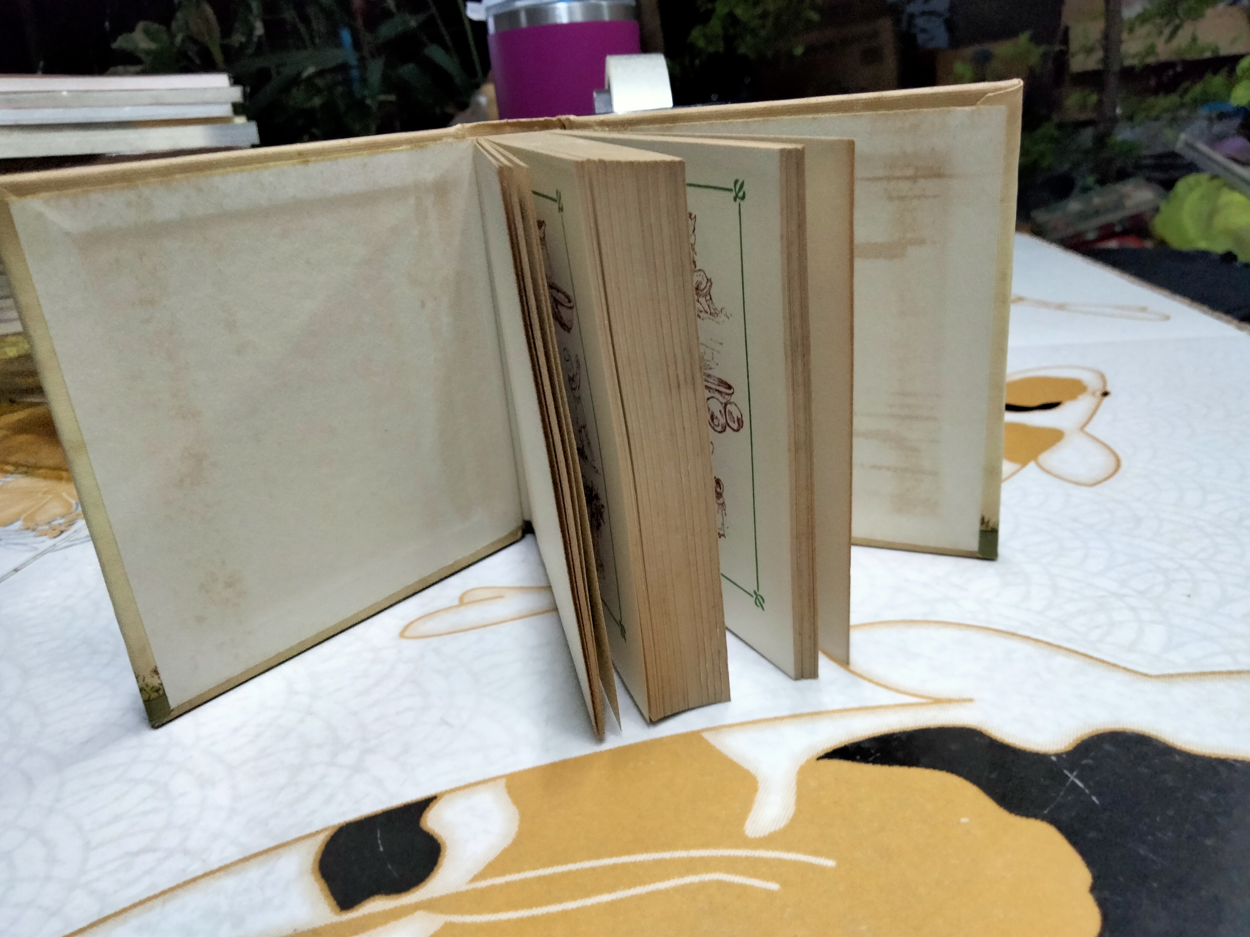 Kate Greenaway 's birthday book สมุดบันทึกวันเกิด **สินค้าหมด**