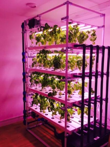 Indoor smart farm hydroponic