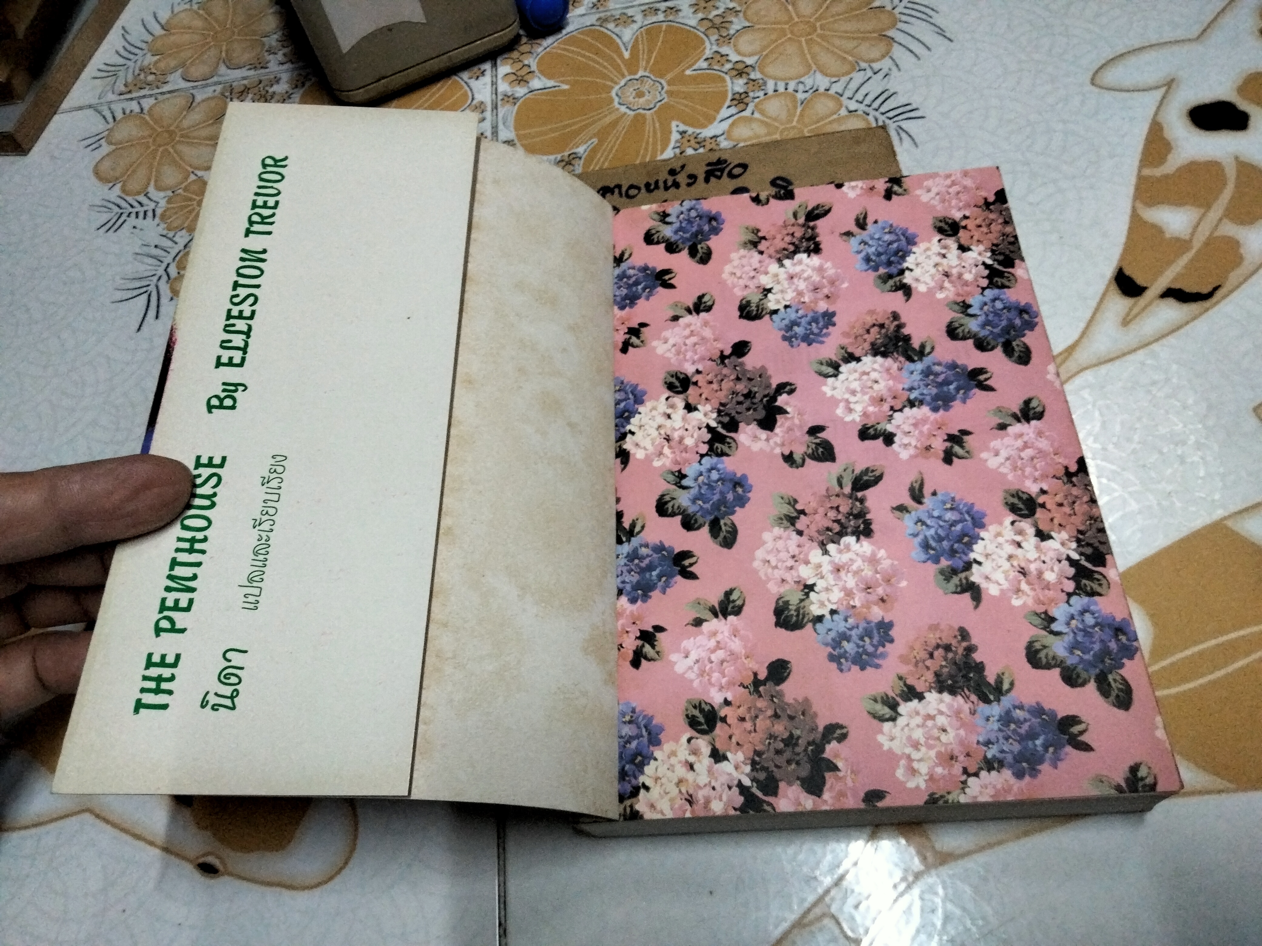 ดอกฟ้า คนบ้า และความรัก The Penthouses by Elleston Trevor นิดา แปลและเรียบเรียง (มีตราประทับจากเจ้าของเดิม) **สินค้าหมด**