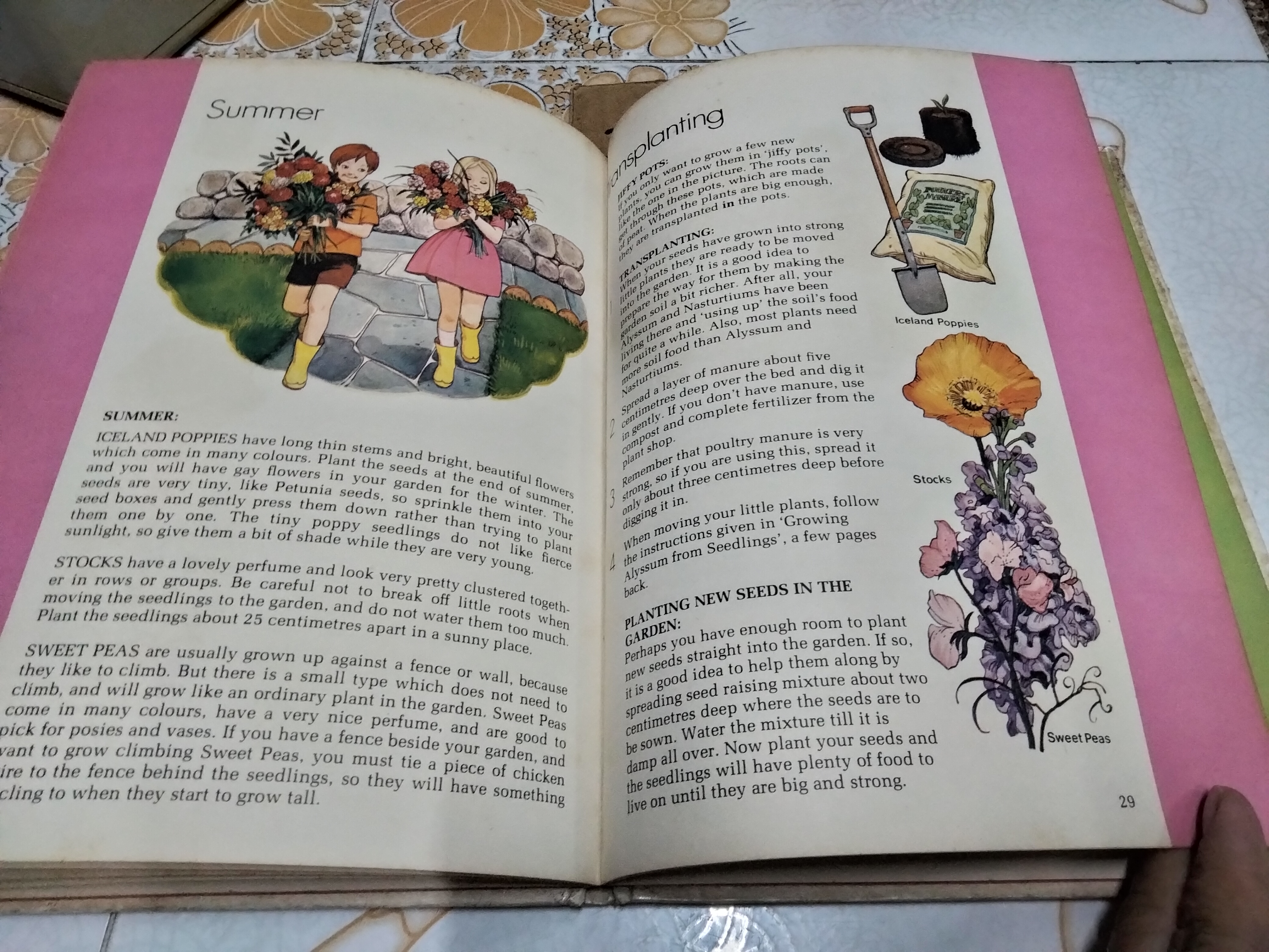 My First gardening book (Vintage) Written by Jessie Boyd * ชำรุด - หน้าหาย 1 คู่ (หน้า 13-14 และ 35-36) **สินค้าหมด**
