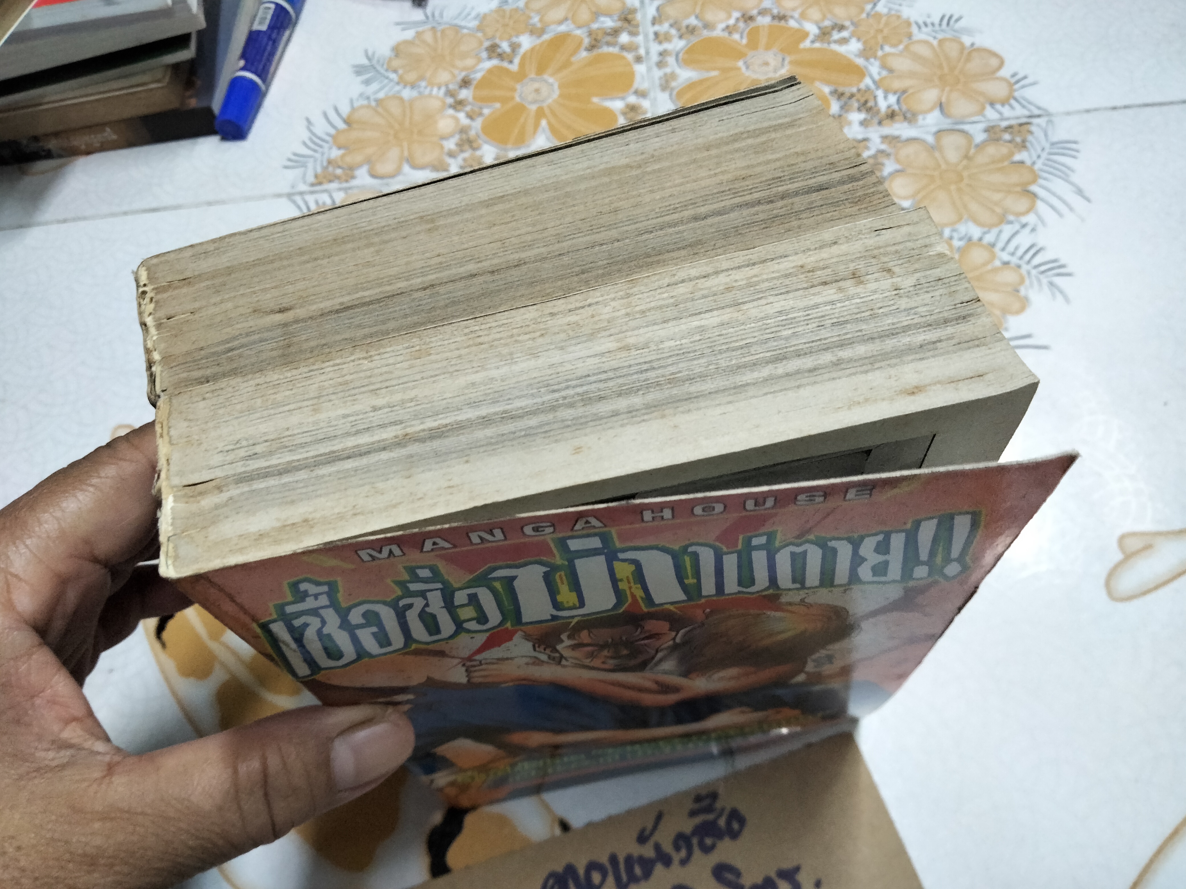 ETRANGER เชื้อชั่วฆ่าไม่ตาย (2 เล่มจบ) Tomizawa Jun เขียน **สินค้าหมด**