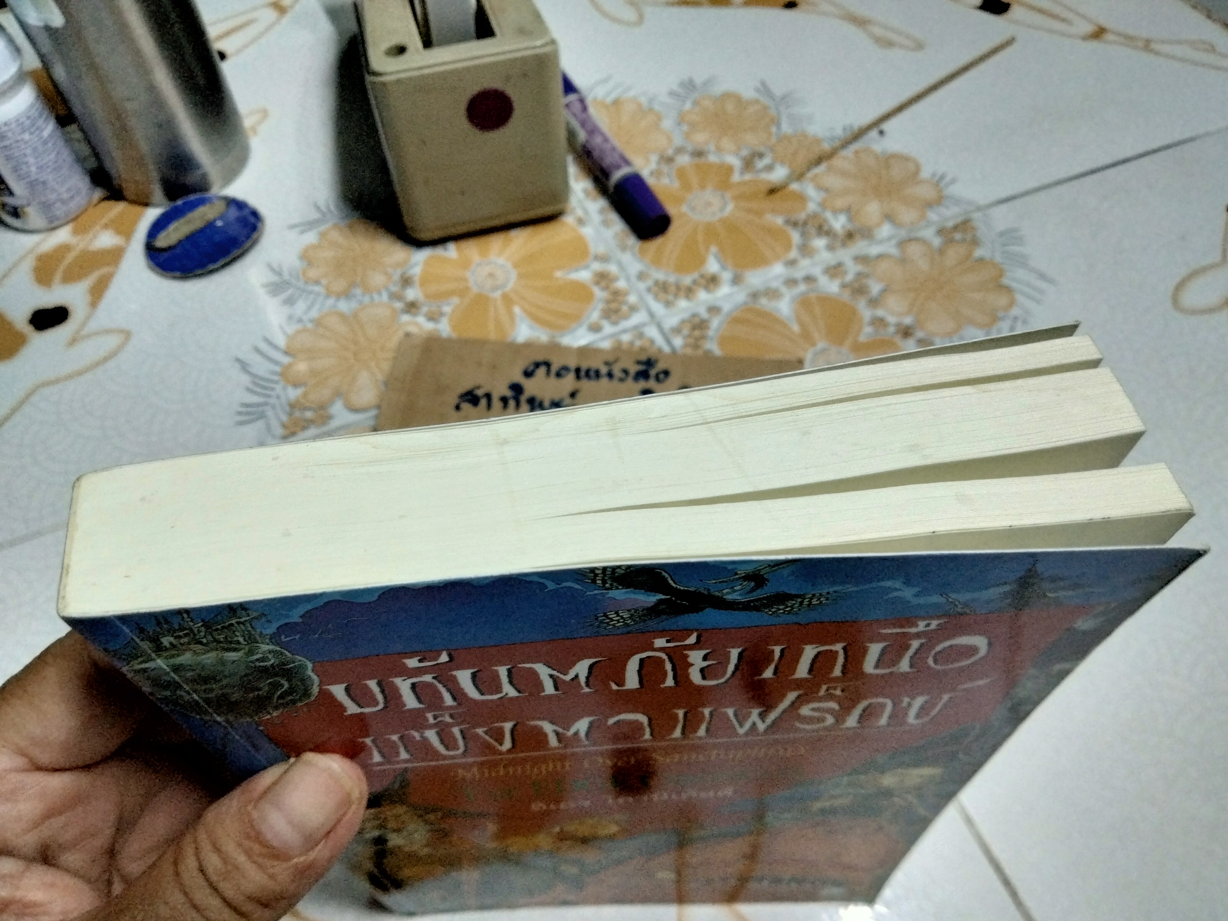 มหันตภัยเหนือแซ็งตาแฟร็กซ์ (The Edge Chronicles) โดย พอล สจ็วต , คริส ริดเดลล์ แปลโดย วิทยาพลายมณี **สินค้าหมด**