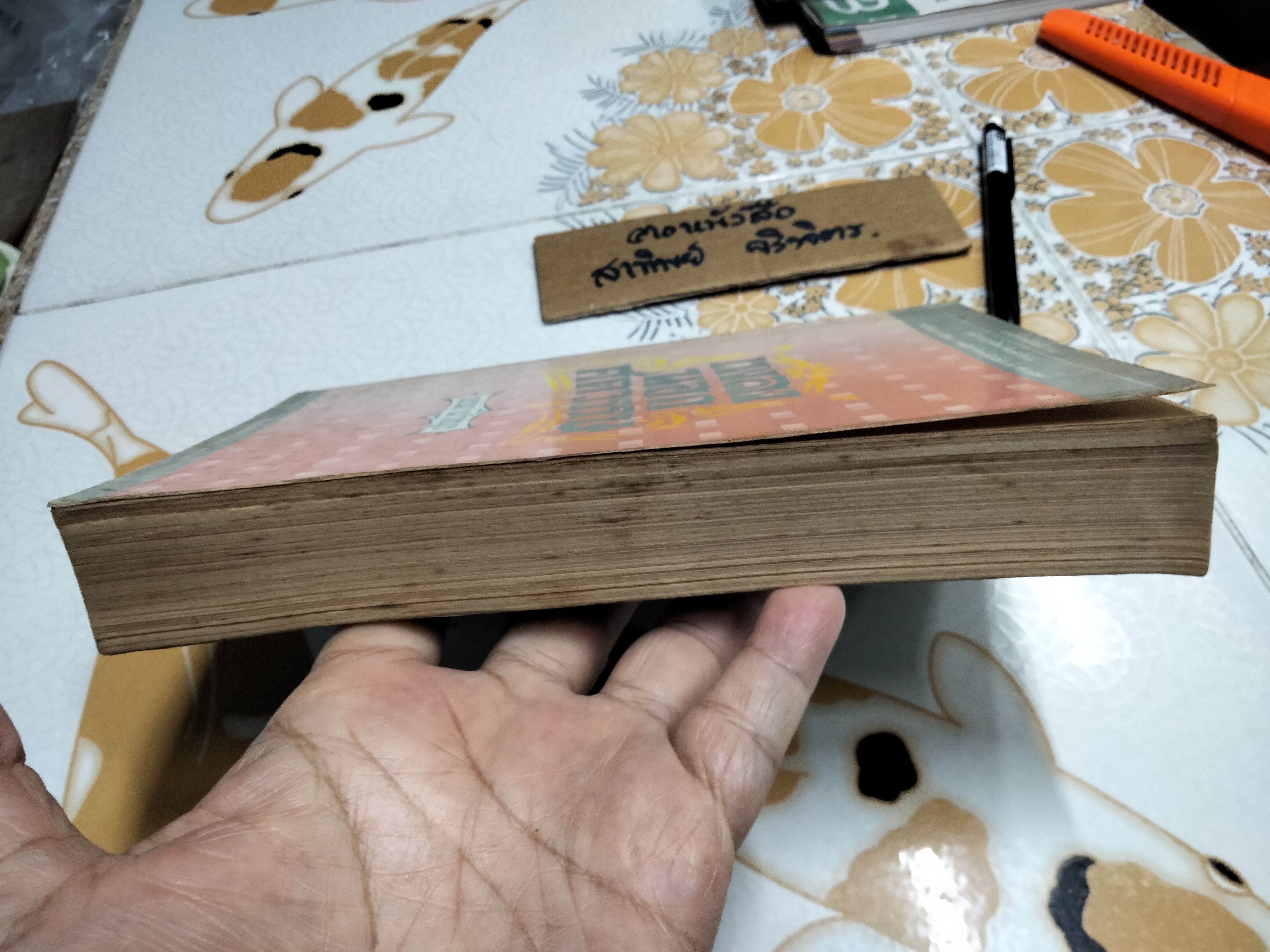 เพลงนอกศตวรรษ โดย เอนก นาวิกมูล