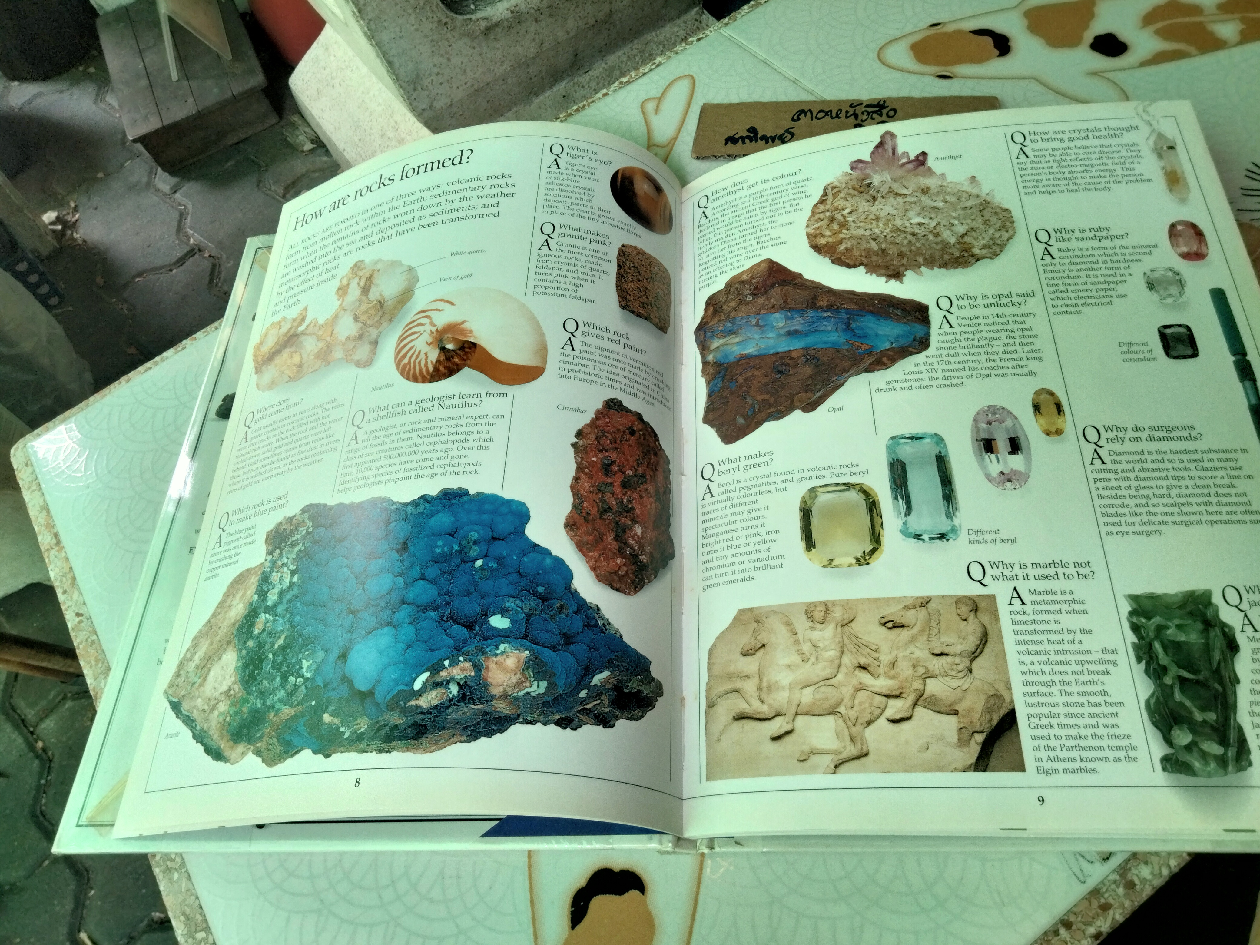 Question & Answer Book หนังสือความรู้ยอดนิยม Eyewitness