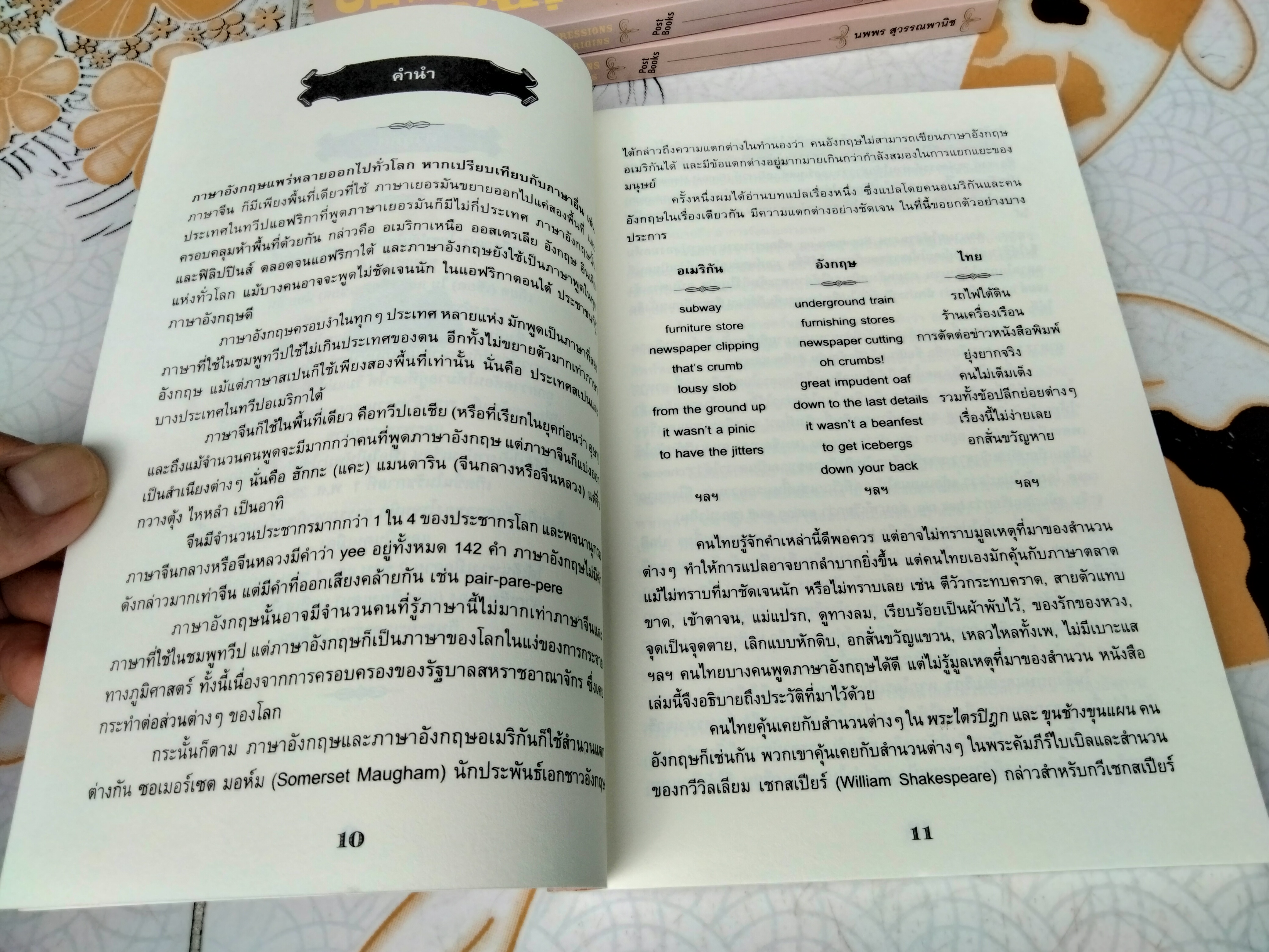 ภาษานอกตำราและเหตุที่มาแห่งคำ - นพพร สุวรรณพานิช