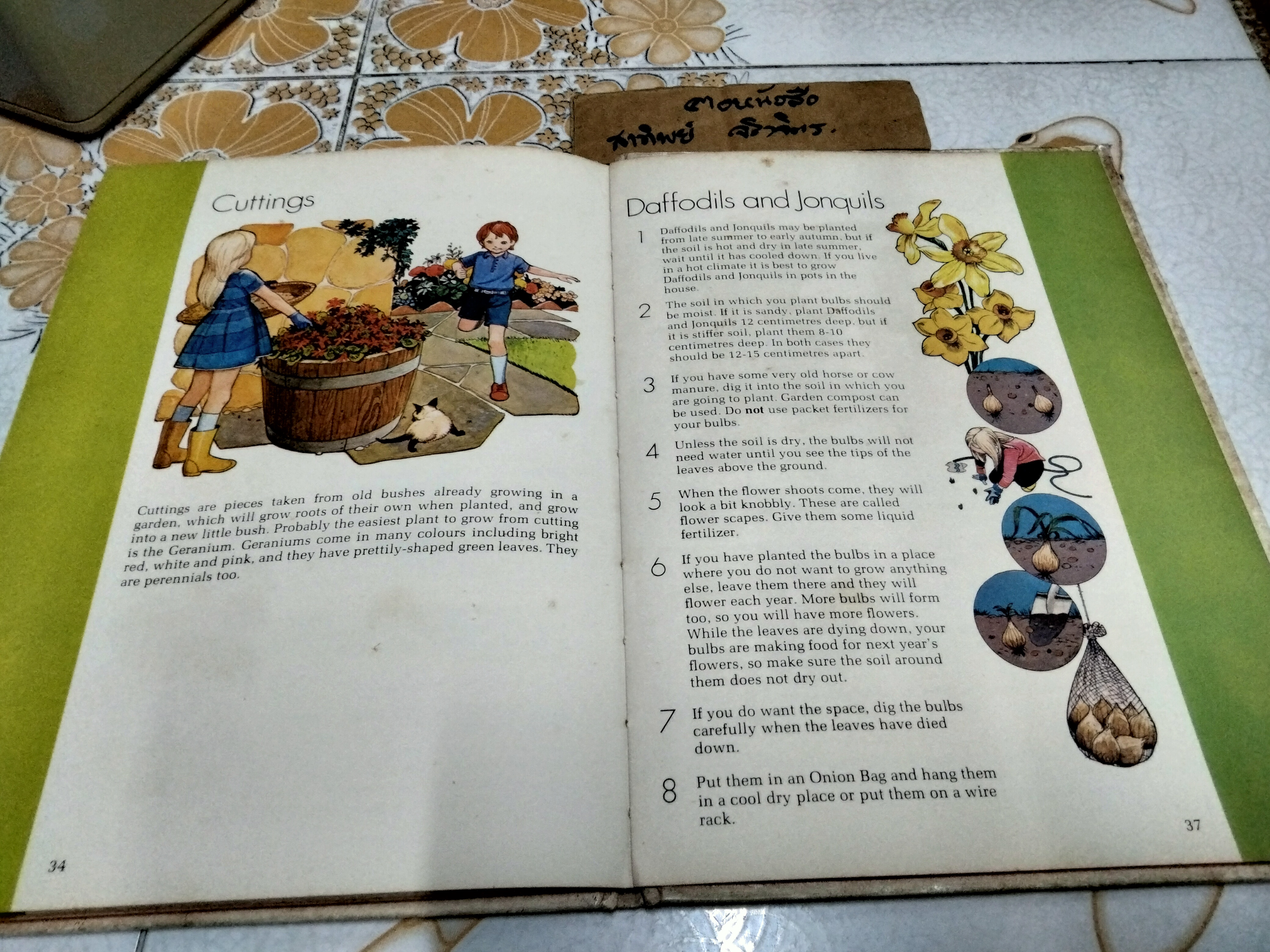 My First gardening book (Vintage) Written by Jessie Boyd * ชำรุด - หน้าหาย 1 คู่ (หน้า 13-14 และ 35-36) **สินค้าหมด**