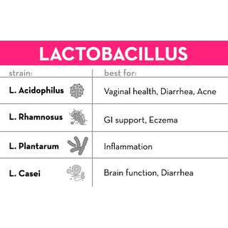 21st Century® Acidophilus Probiotic Blend 100, 150 Capsules โปรไบโอติค