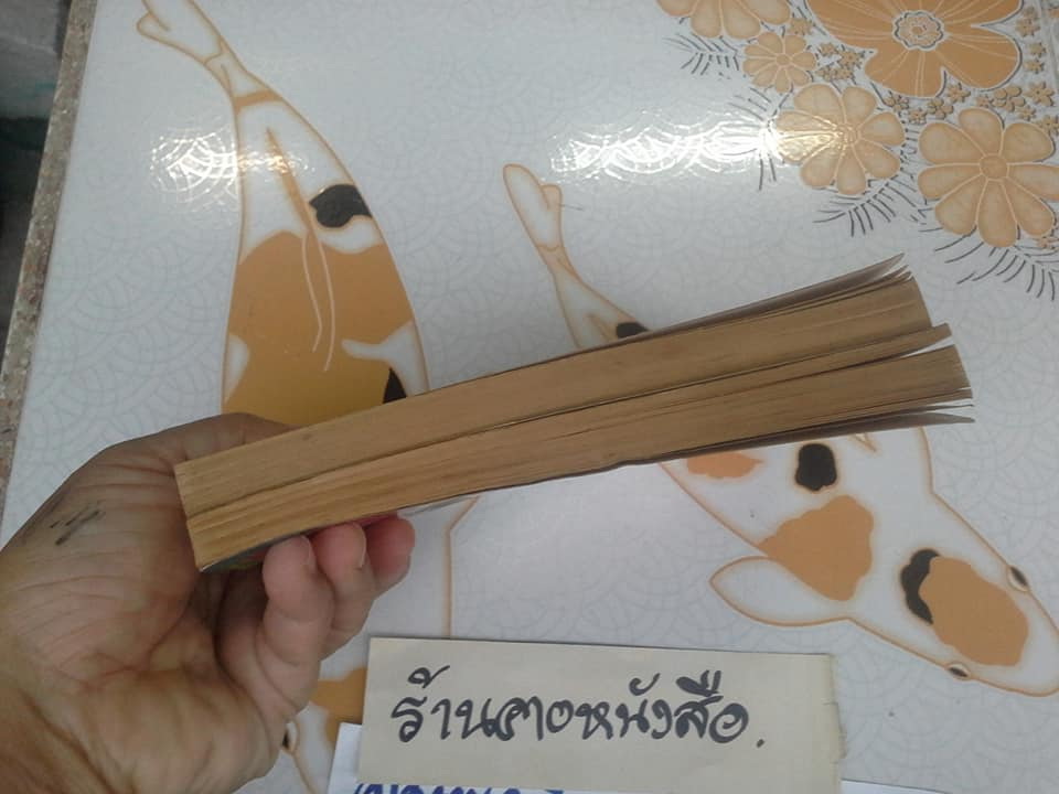 บลูส์ จูเนียร์ (2 เล่ม) สนพ.หมึกจีน **จองแล้ว**