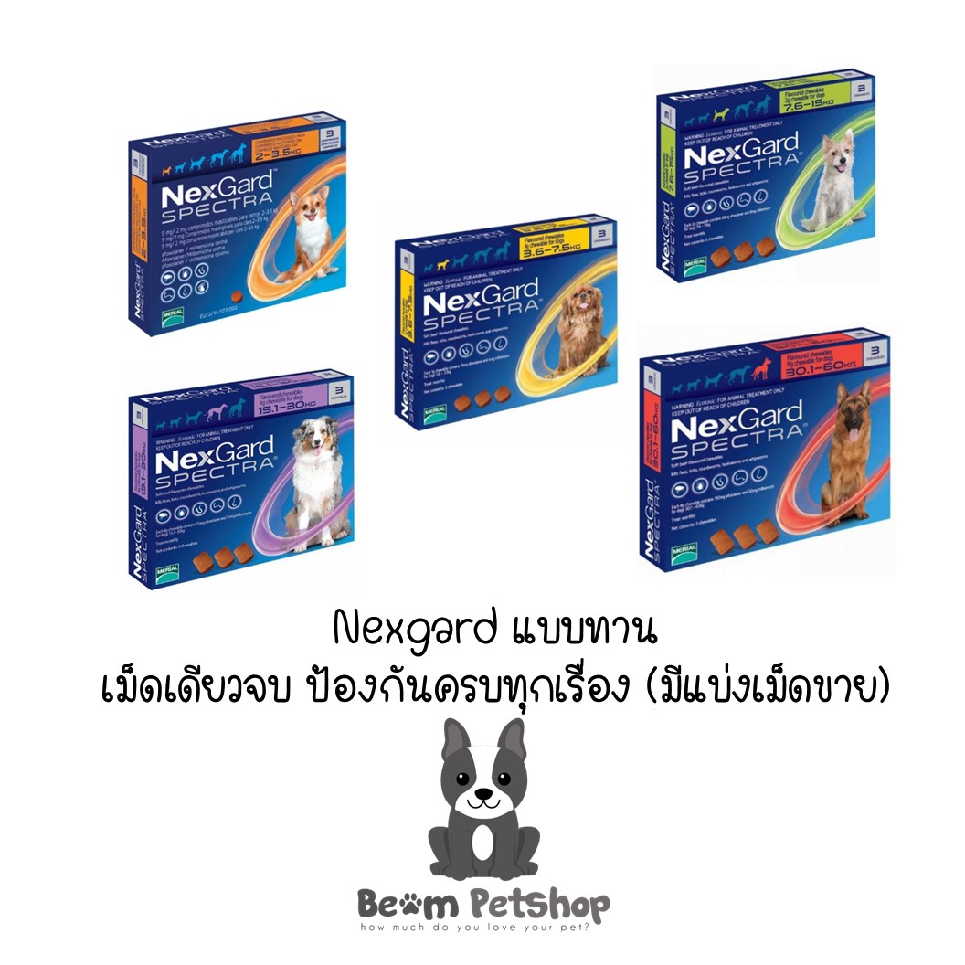 Nexgard Spectra For Dog ปกป้องครบจบในเม็ดเดียว สำหรับสุนัข