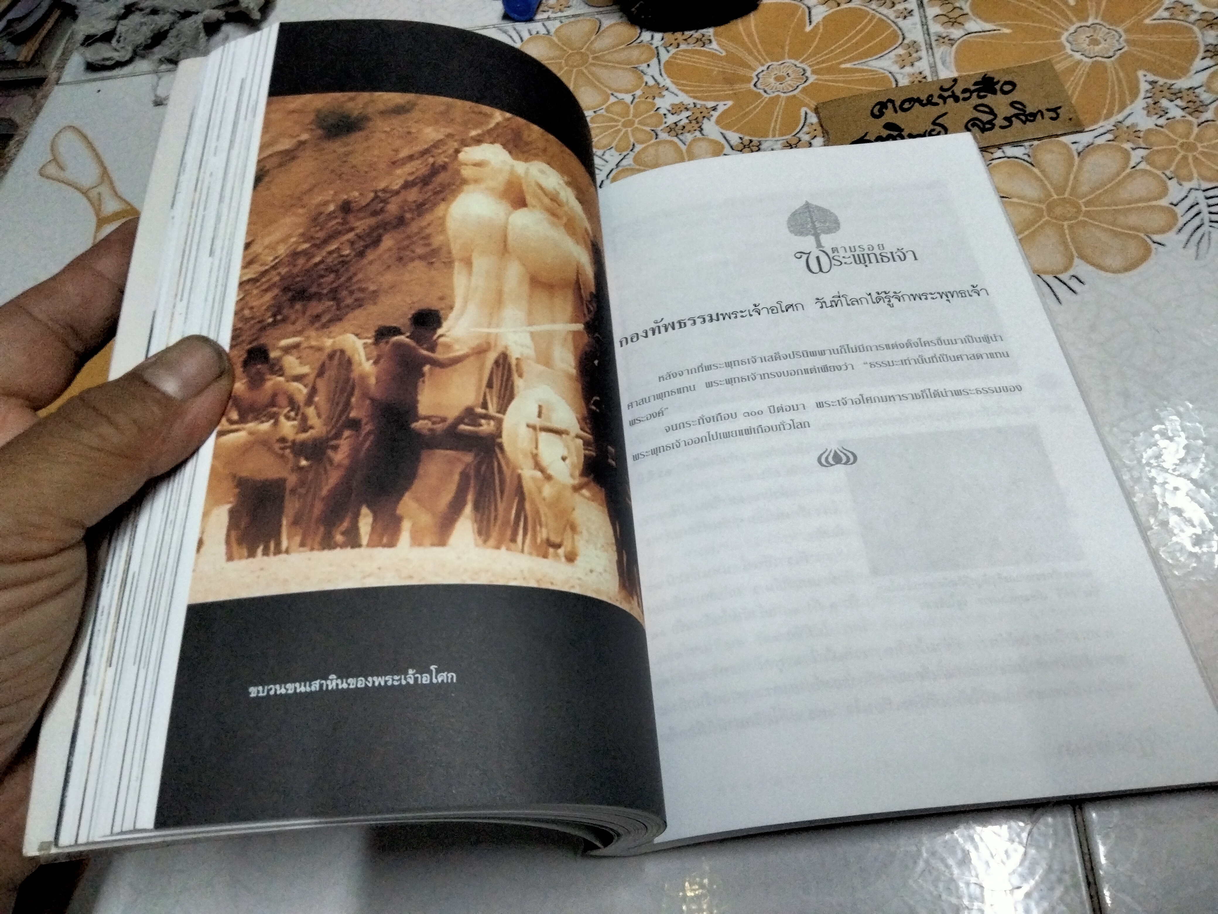 ตามรอยพระพุทธเจ้า panorama worldwide - ลักษณา จีระจันทร์ **สินค้าหมด**