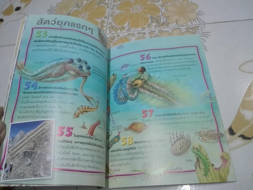 หนังสือชุด 100 เรื่องน่ารู้เกี่ยวกับ วิวัฒนาการ (ลำดับที่ 39) **สินค้าหมด*"