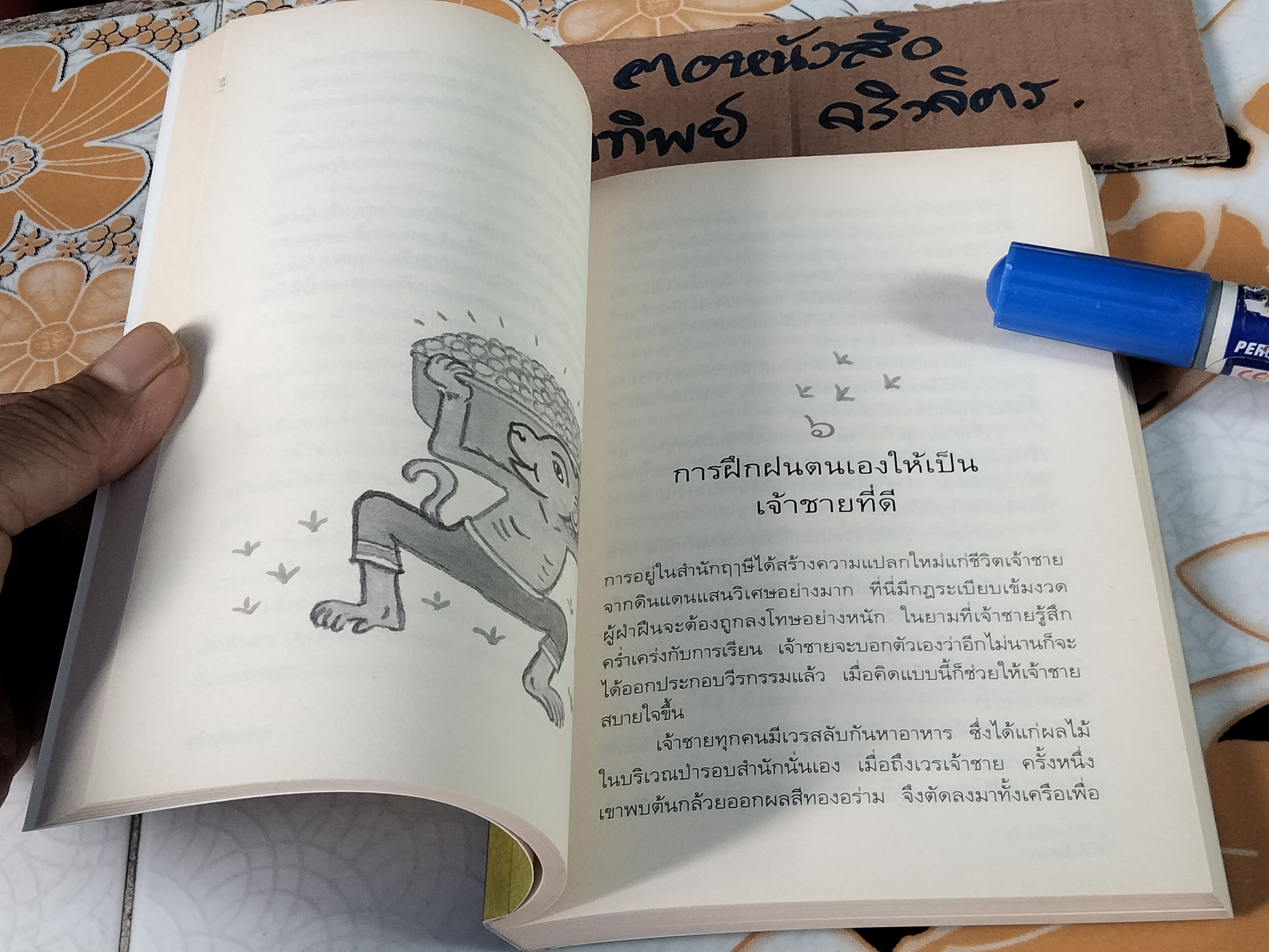 เจ้าชายไม่วิเศษ - ปรีดา อัครจันทโชติ เขียน **สินค้าหมด**