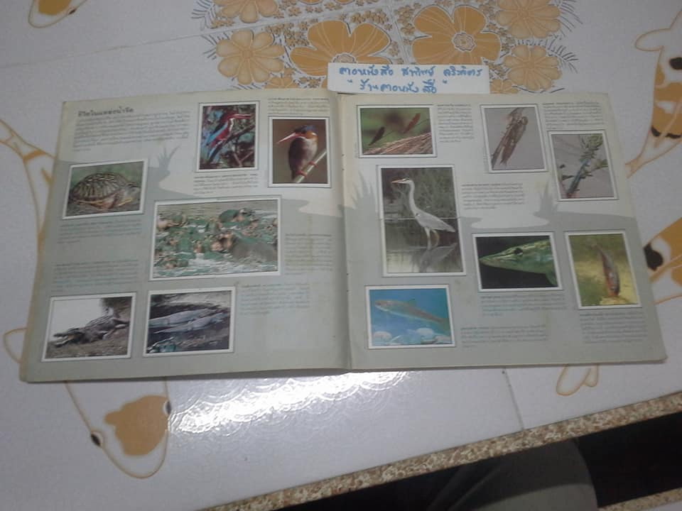 สมุดสะสมสติกเกอร์ ชีวิตสัตว์โลก - แปะครบ (ตัวเล่มมีคราบน้ำ มุมบนมีรอยยับ) **สินค้าหมด**