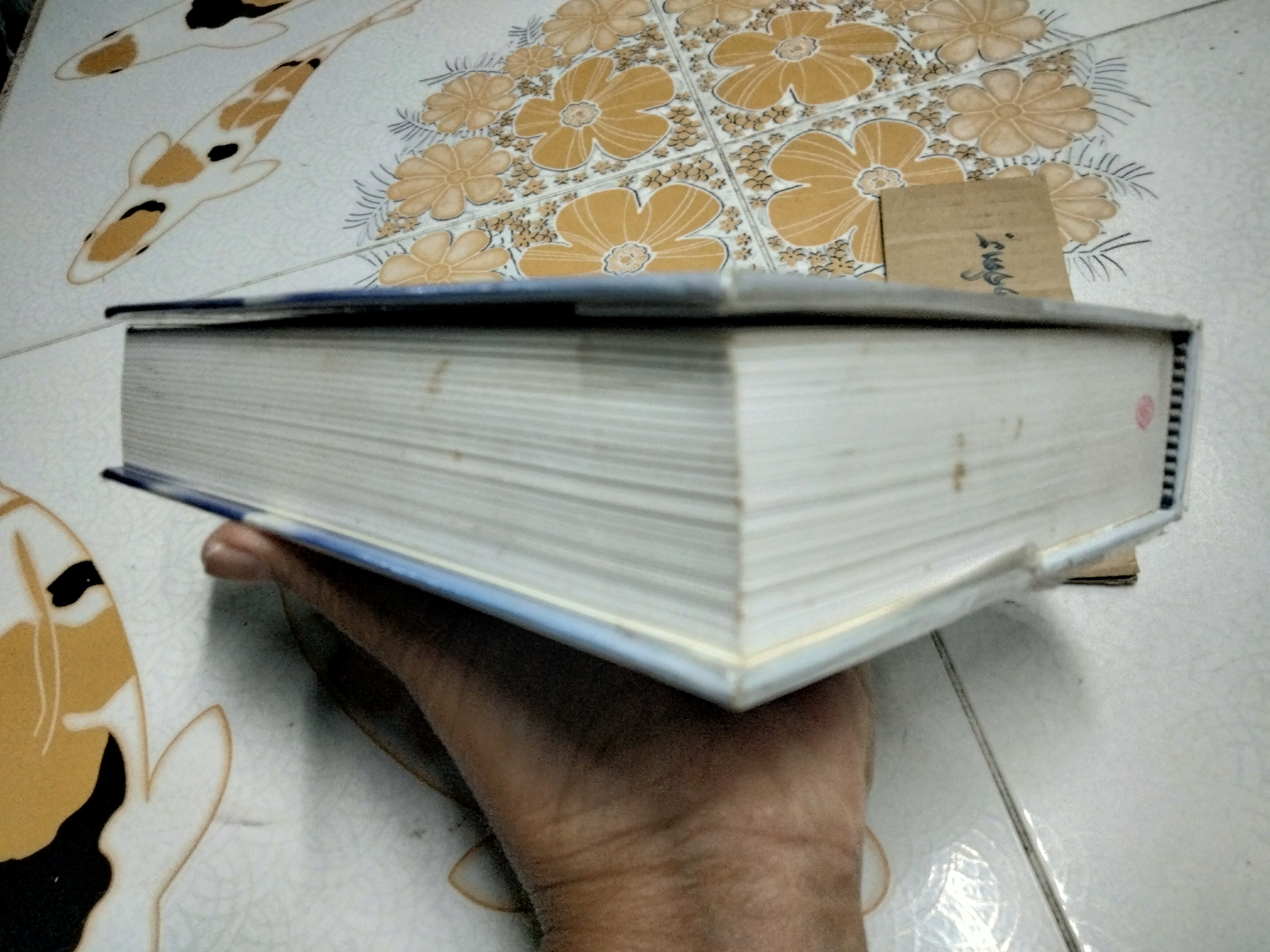 สุดขอบฟ้า ปารีส โดย โกวิท ตั้งตรงจิตร **สินค้าหมด**